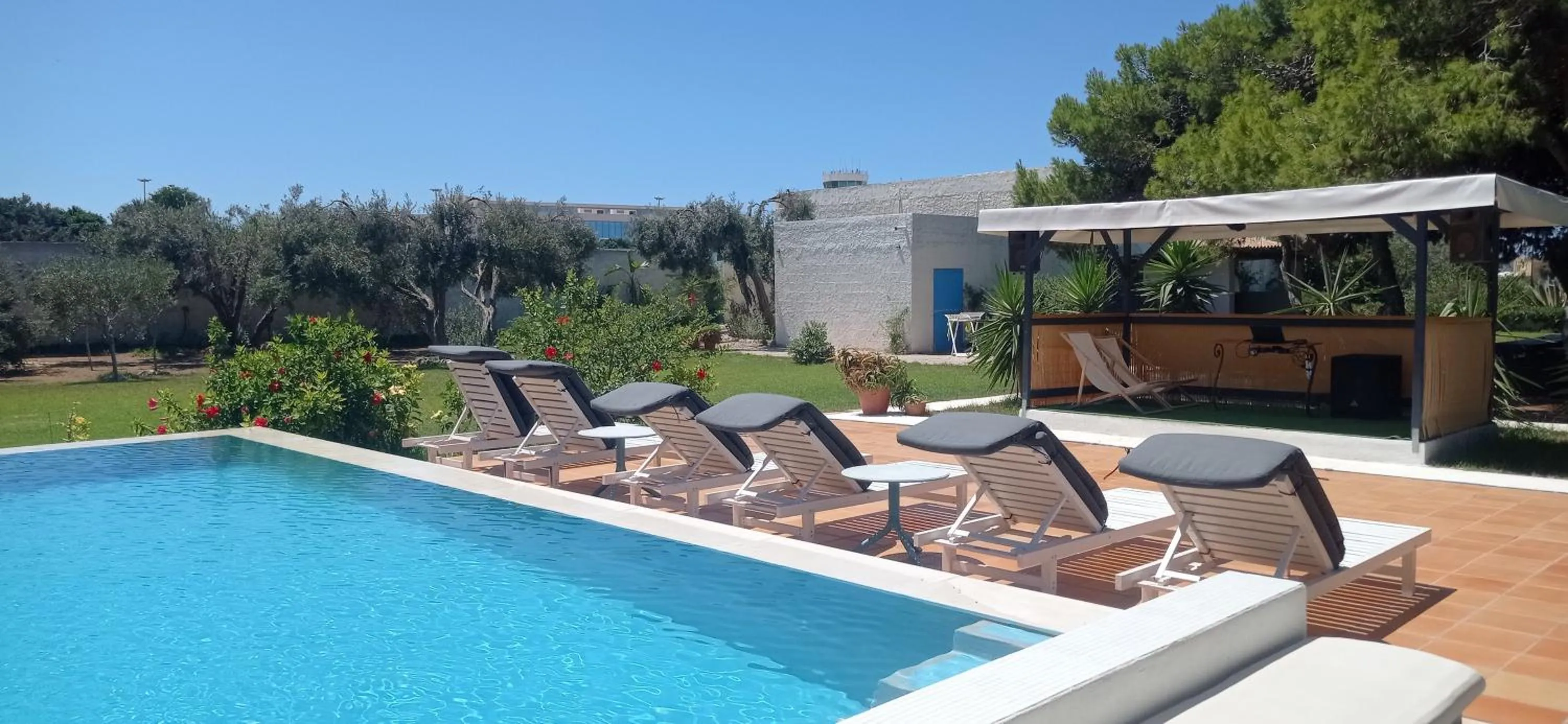 Garden in bolinajazz