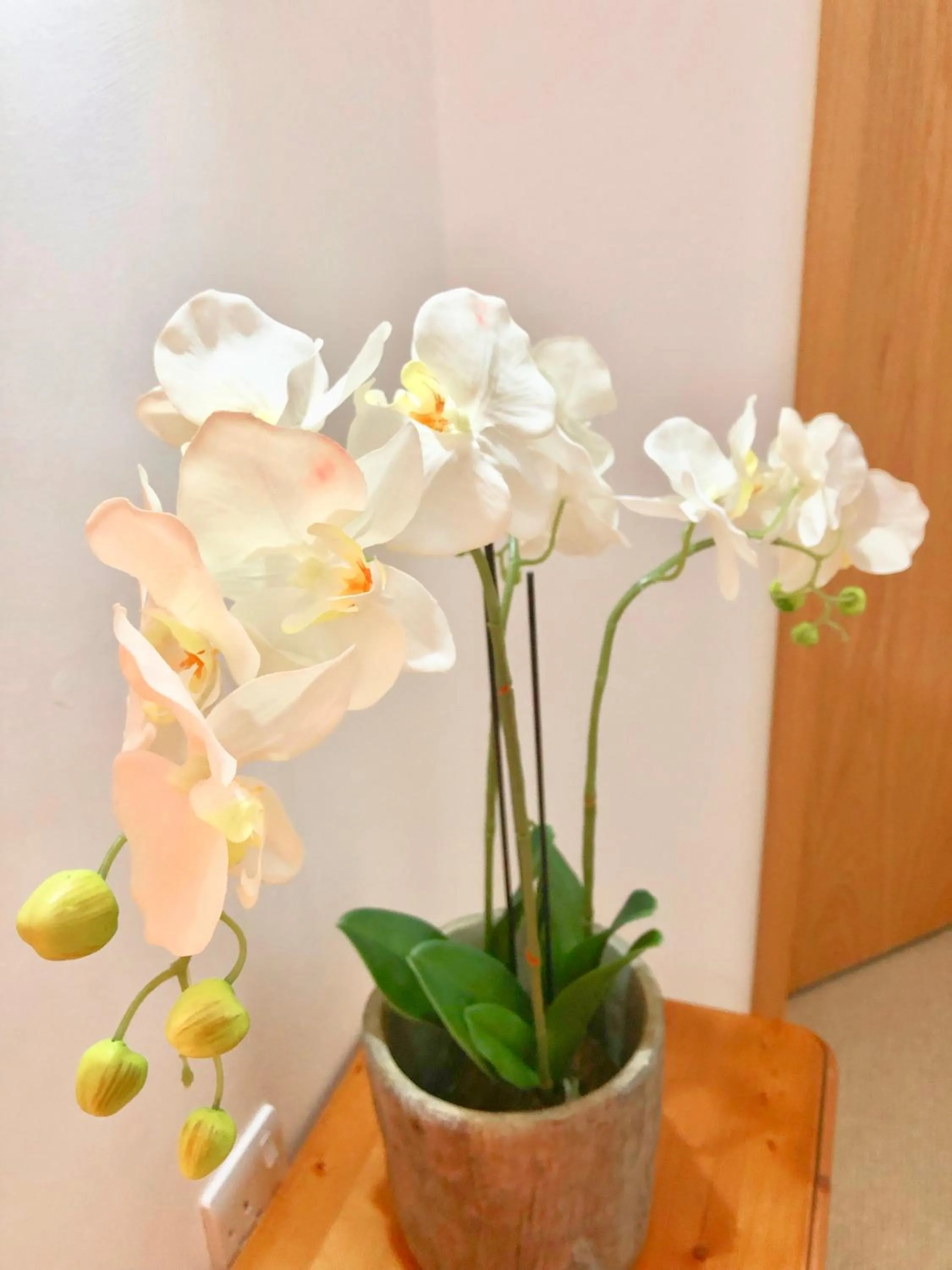 Decorative detail in Laurels