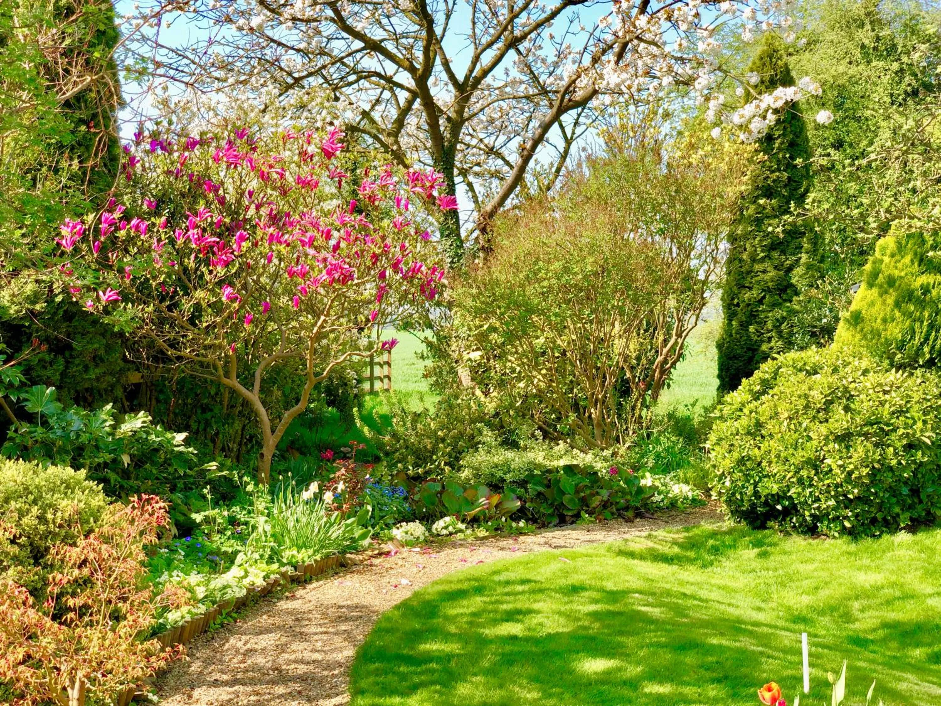 Garden in Laurels