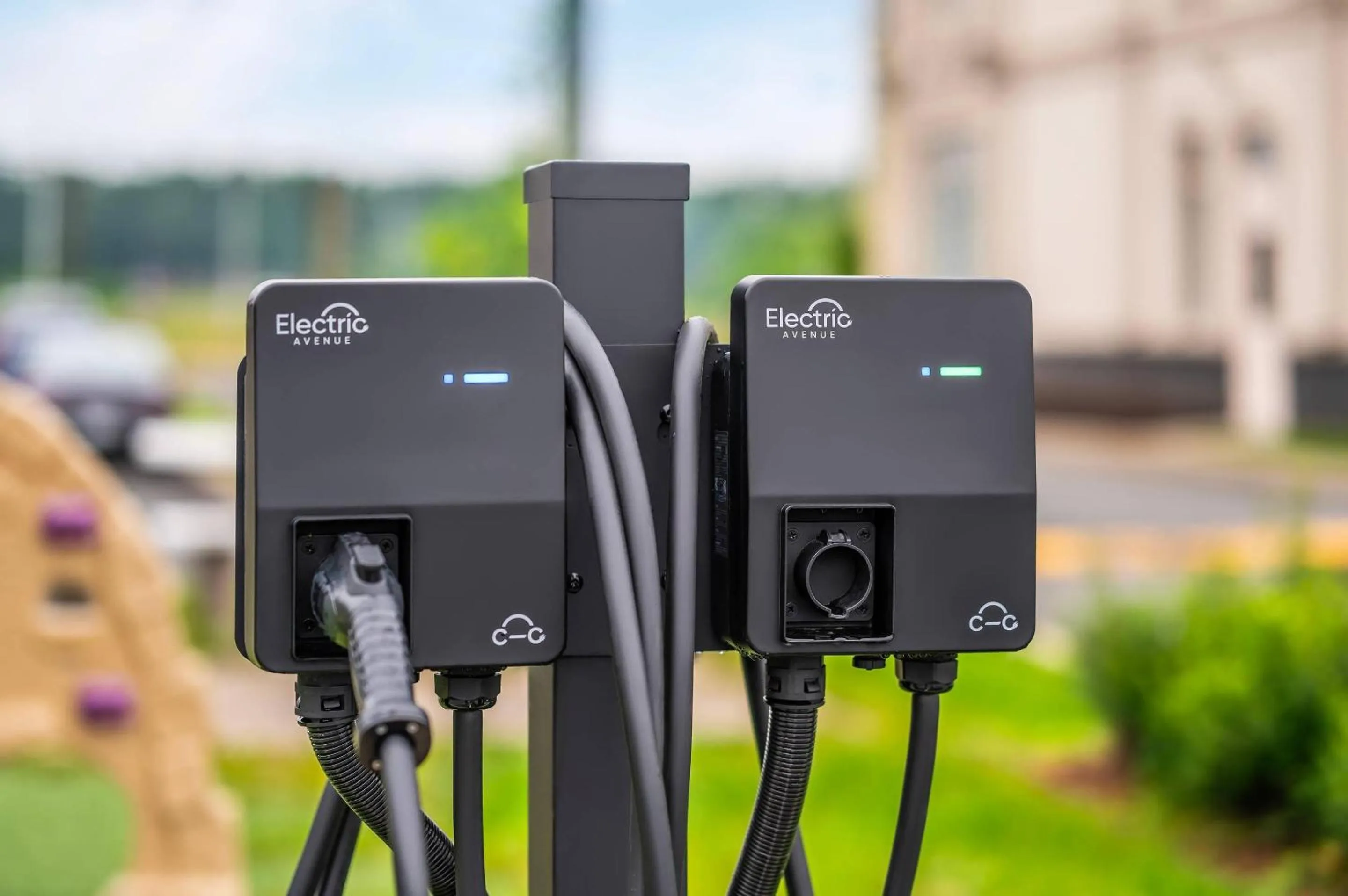 Other in Quality Suites