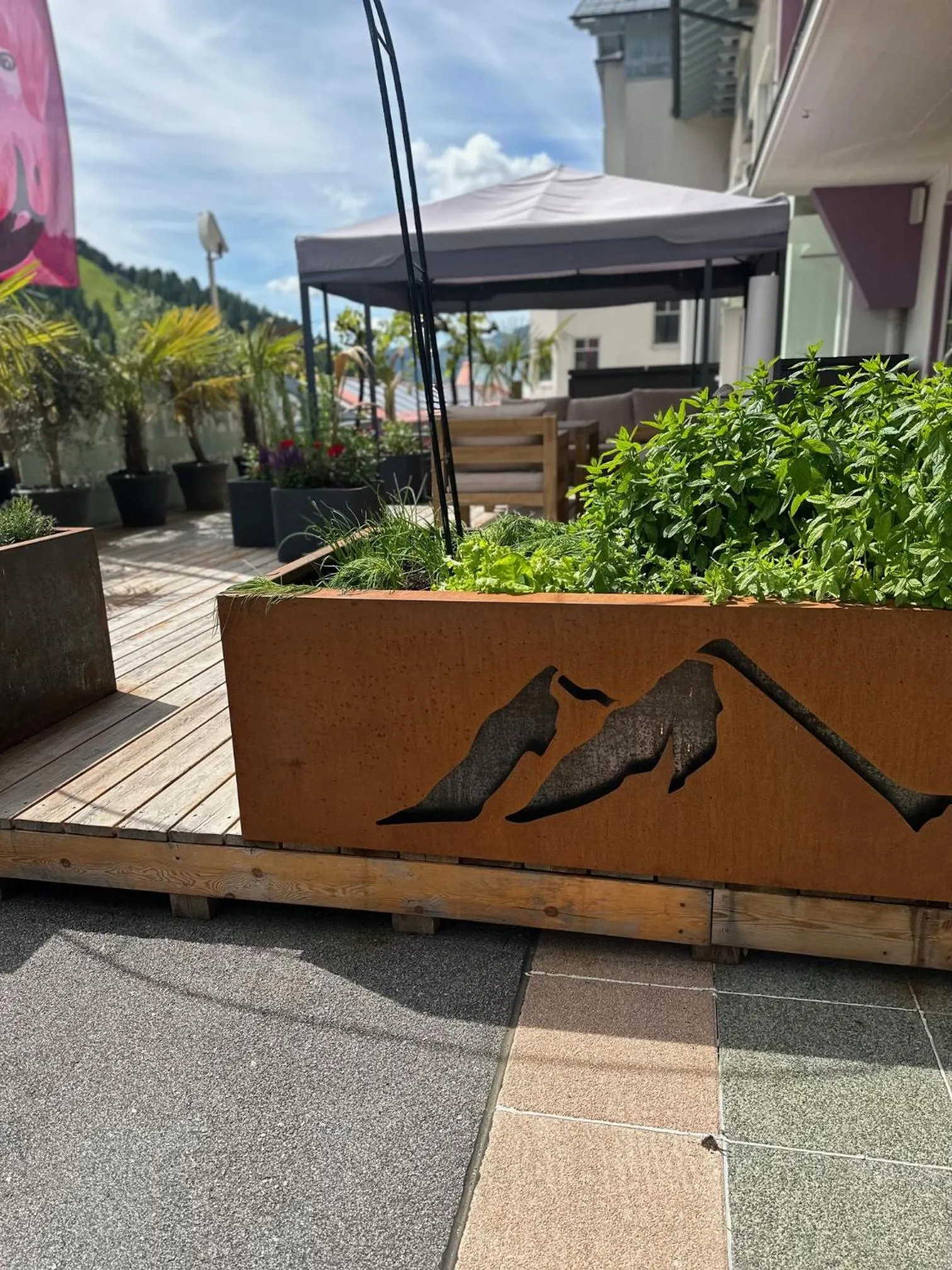 Balcony/Terrace in Hotel Alpina