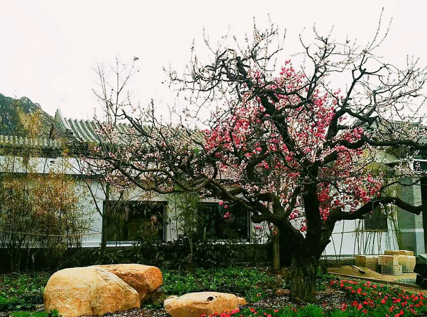 Property building in Guan Sam Hotel