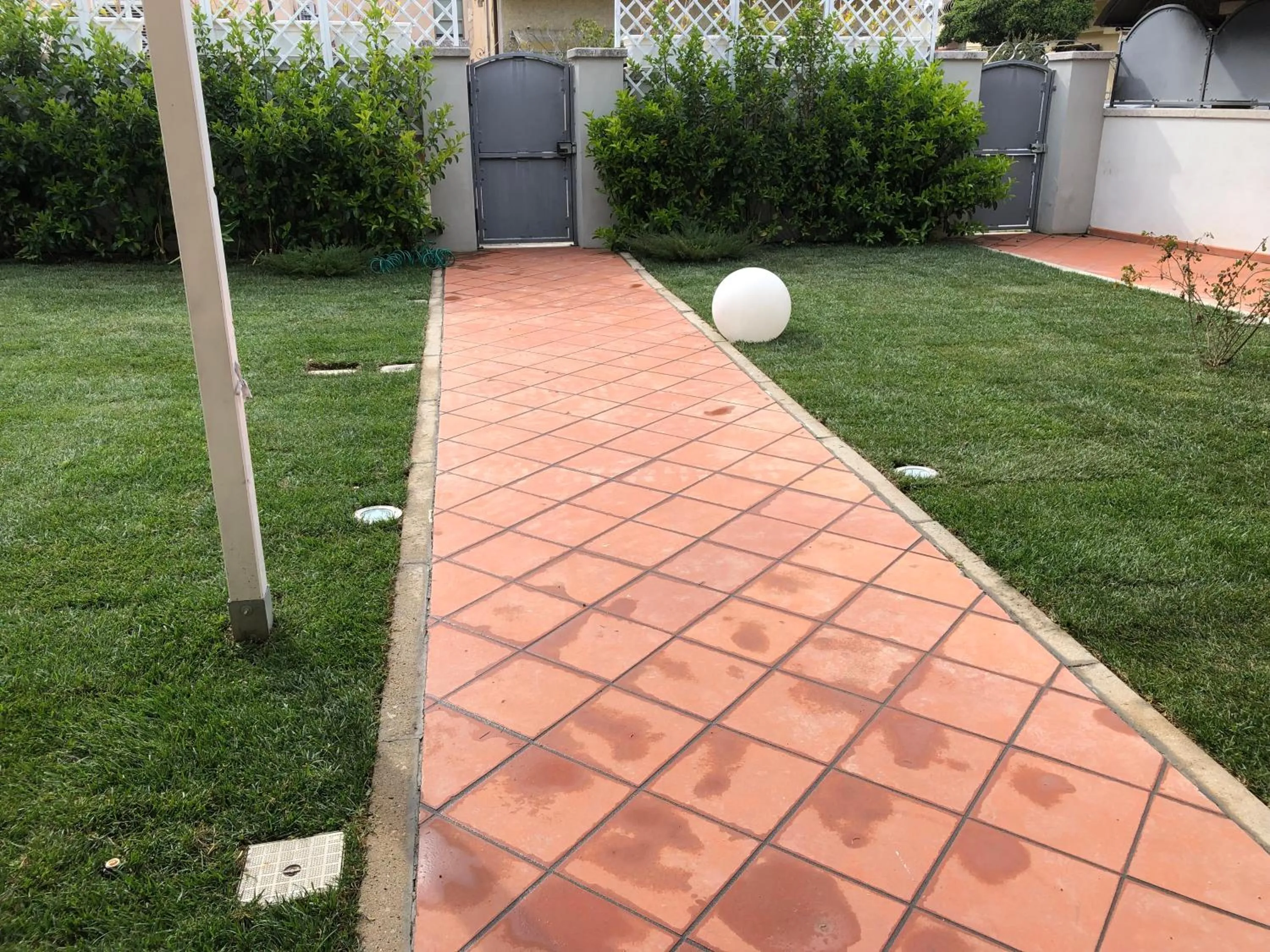 Garden in City Garden Guest House