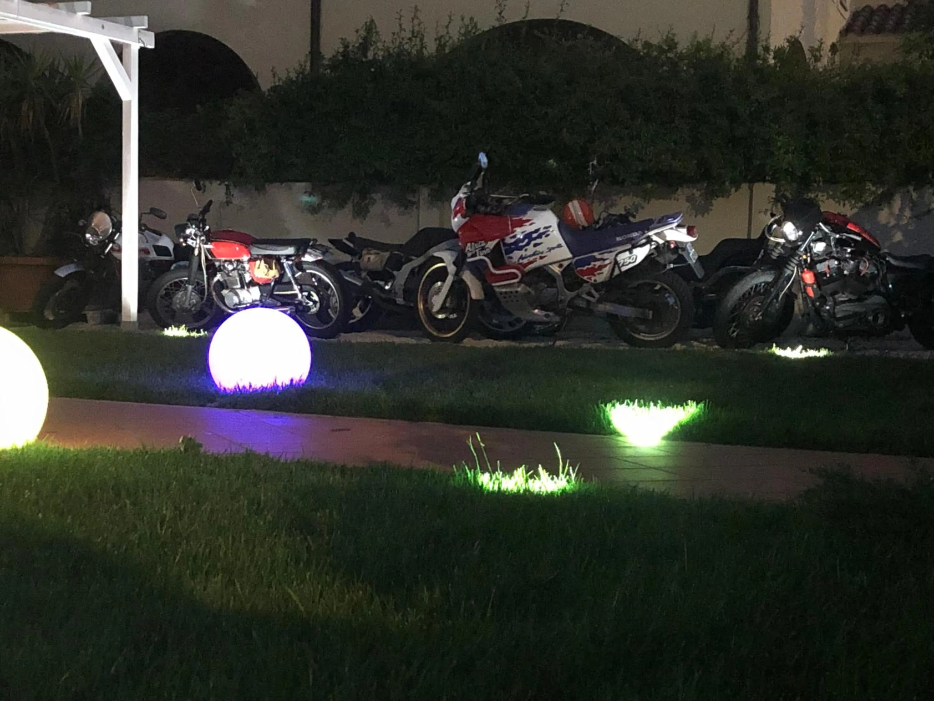 Garden in City Garden Guest House