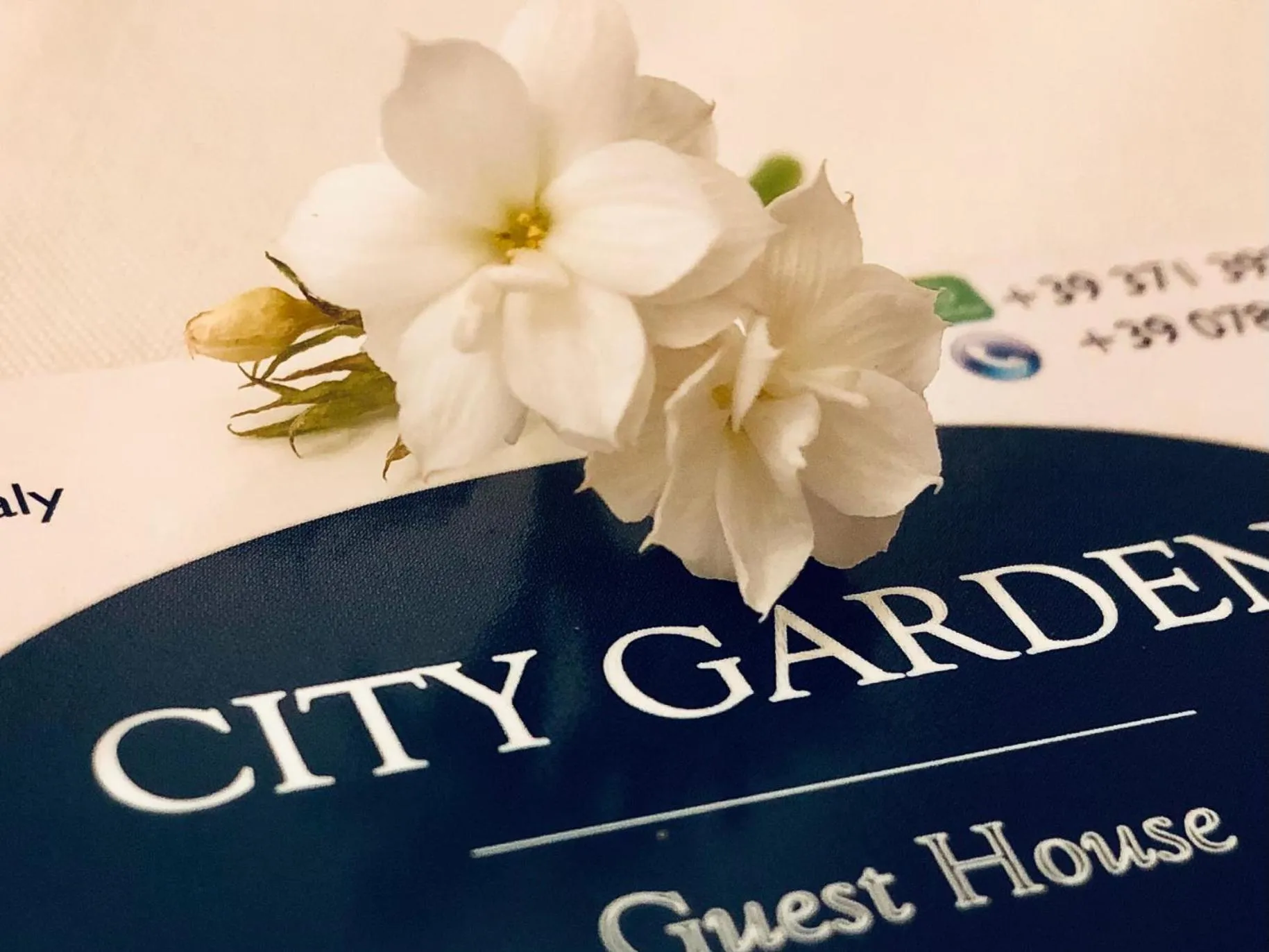 City Garden Guest House