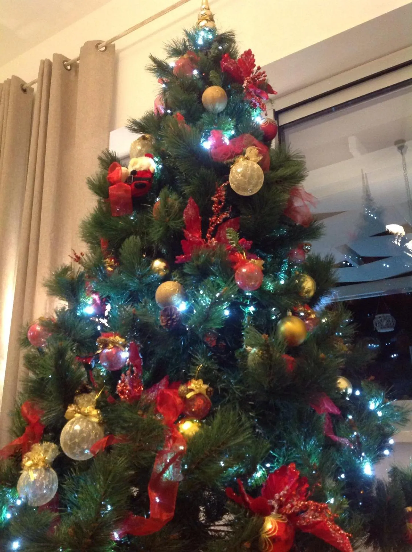 Winter in City Garden Guest House