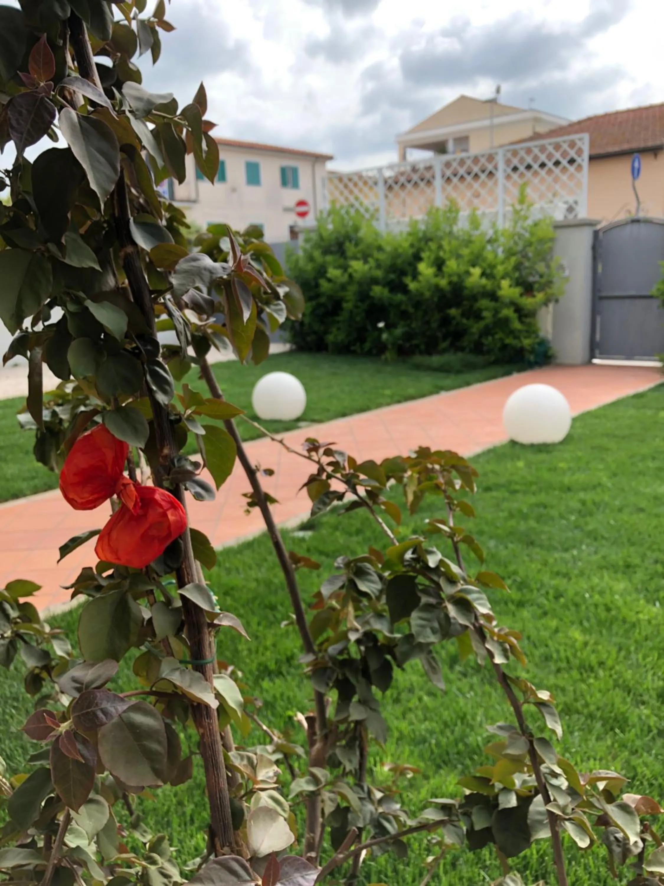 Garden in City Garden Guest House