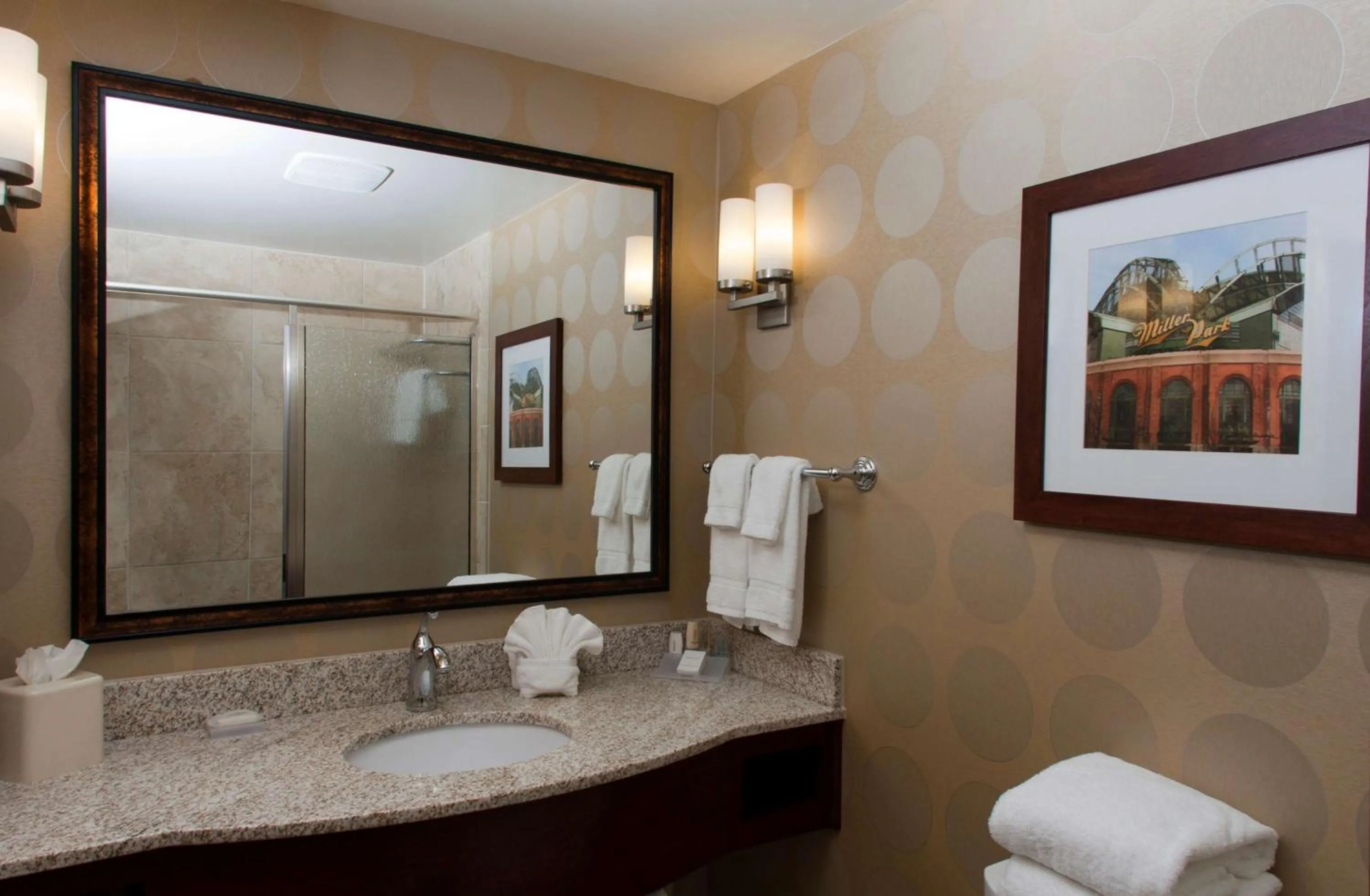 Bathroom in Hilton Garden Inn Milwaukee Airport