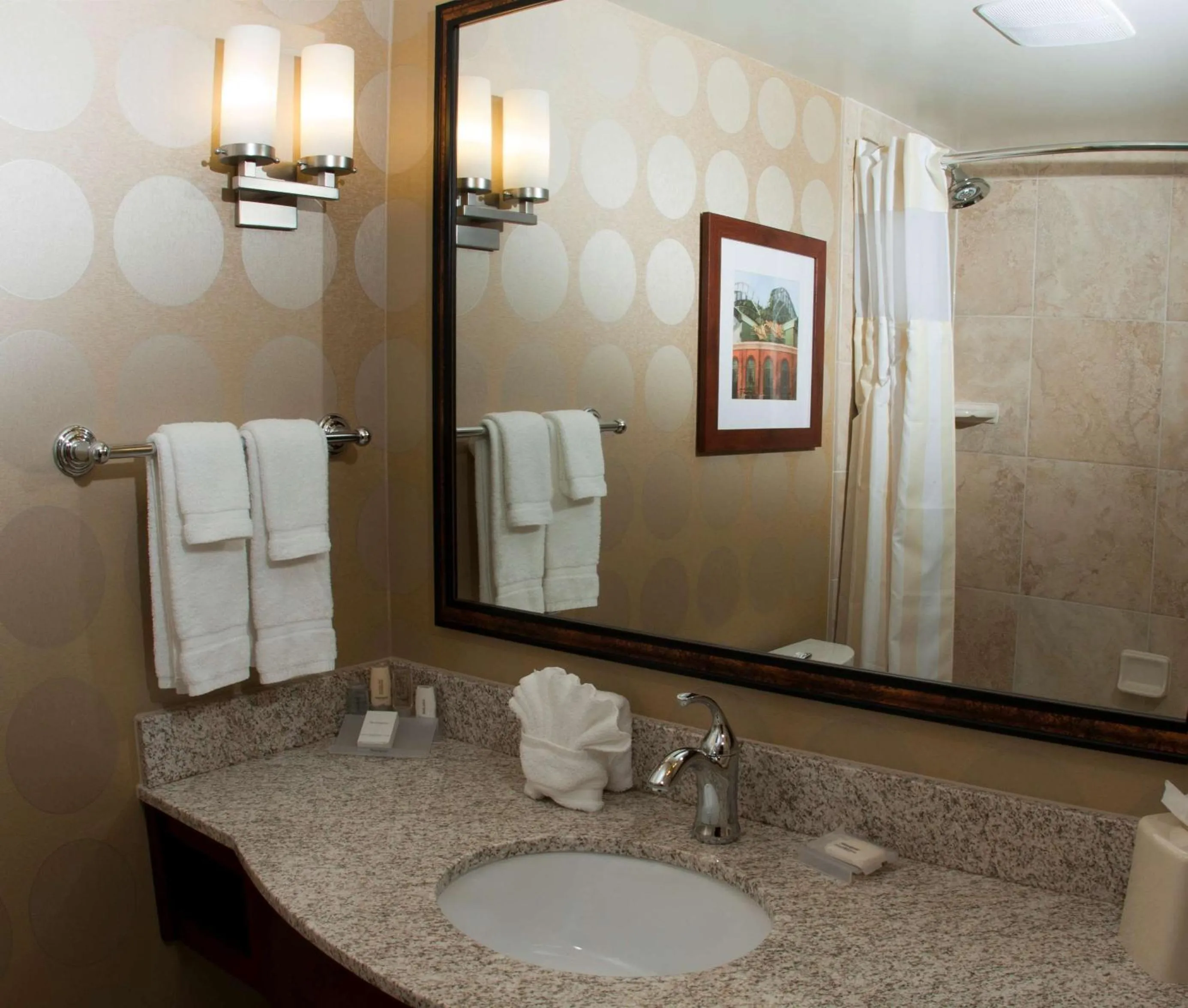 Bathroom in Hilton Garden Inn Milwaukee Airport