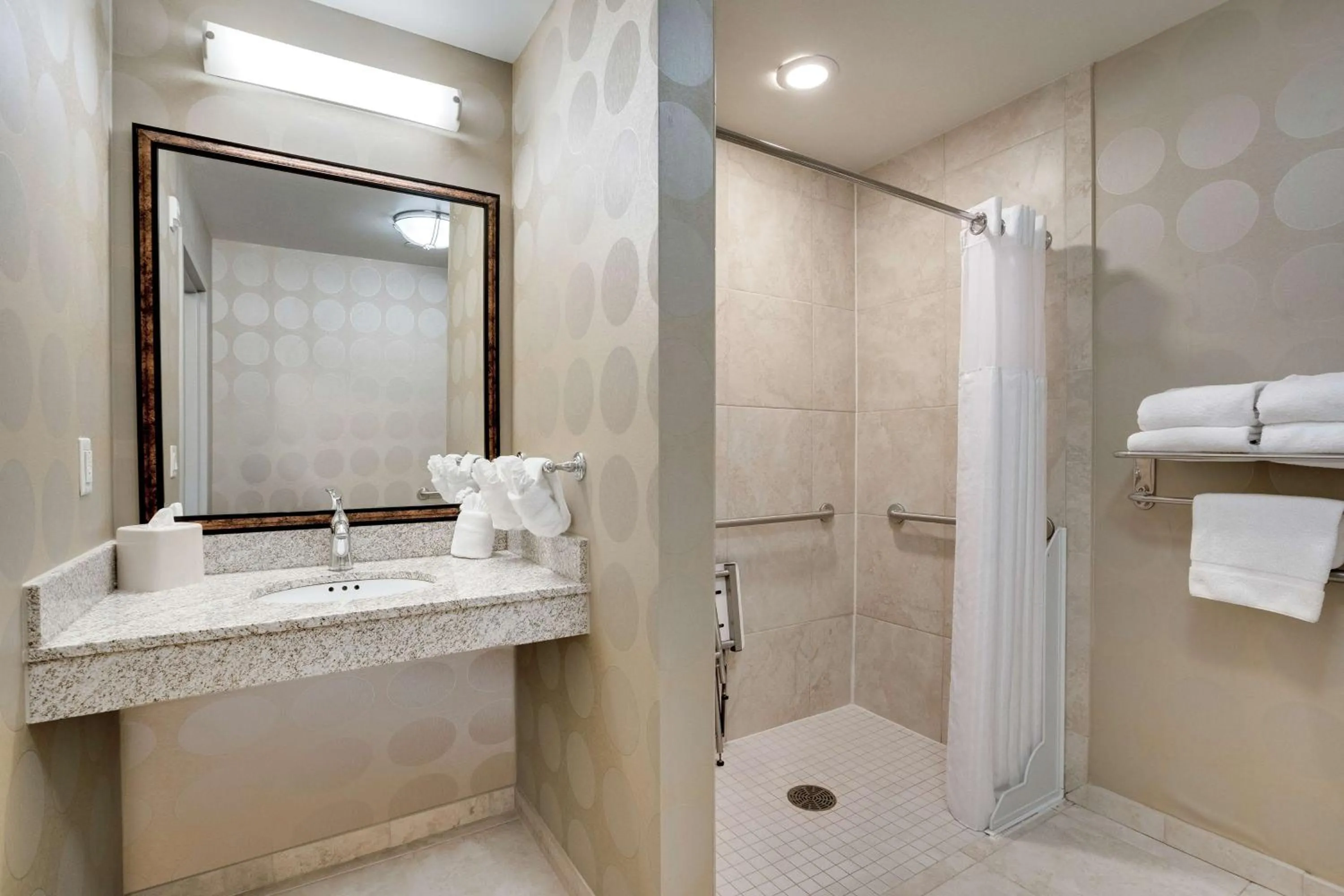 Bathroom in Hilton Garden Inn Milwaukee Airport