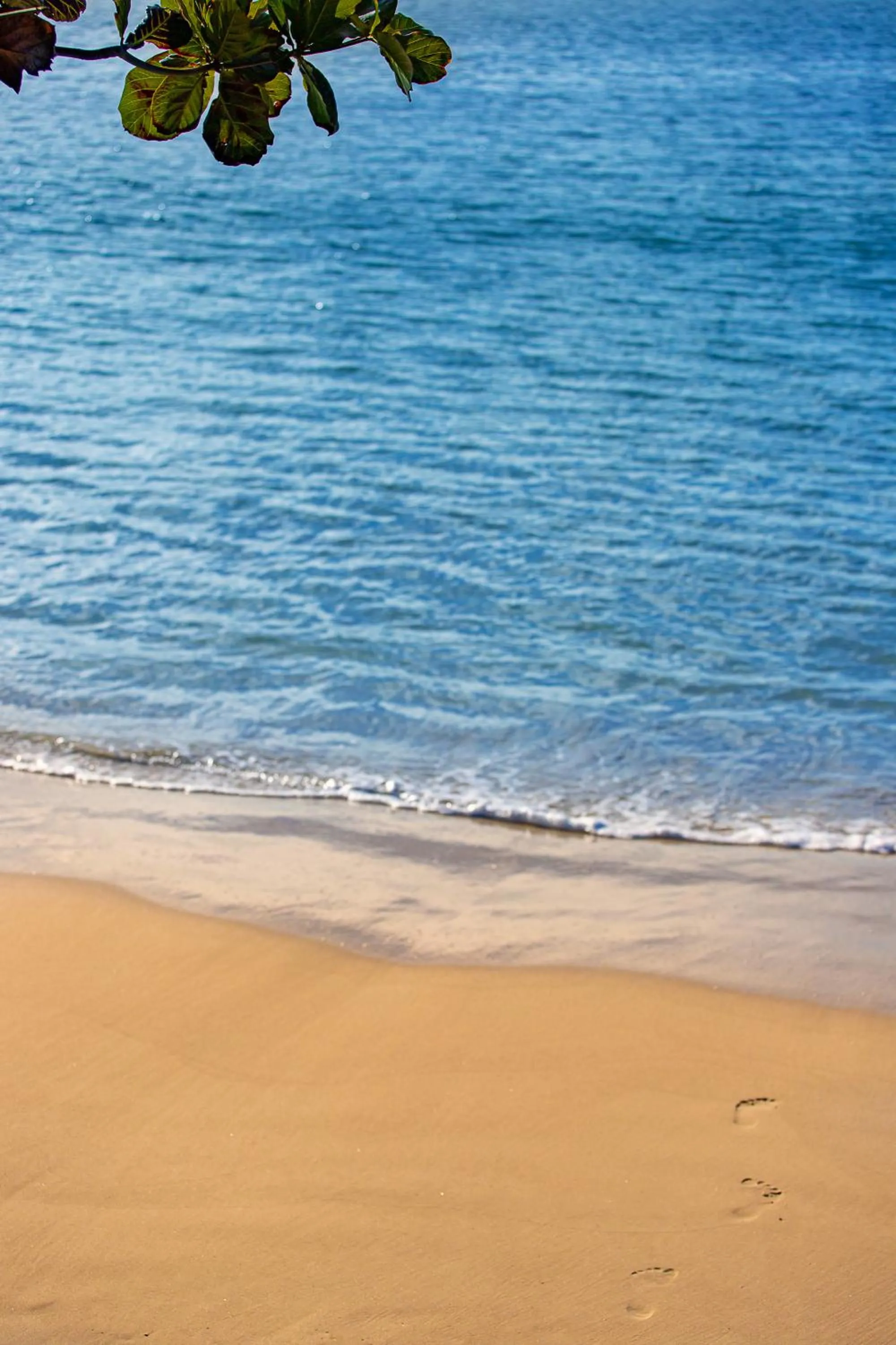 Beach in Hotel Jurerê Beach Village - OFICIAL