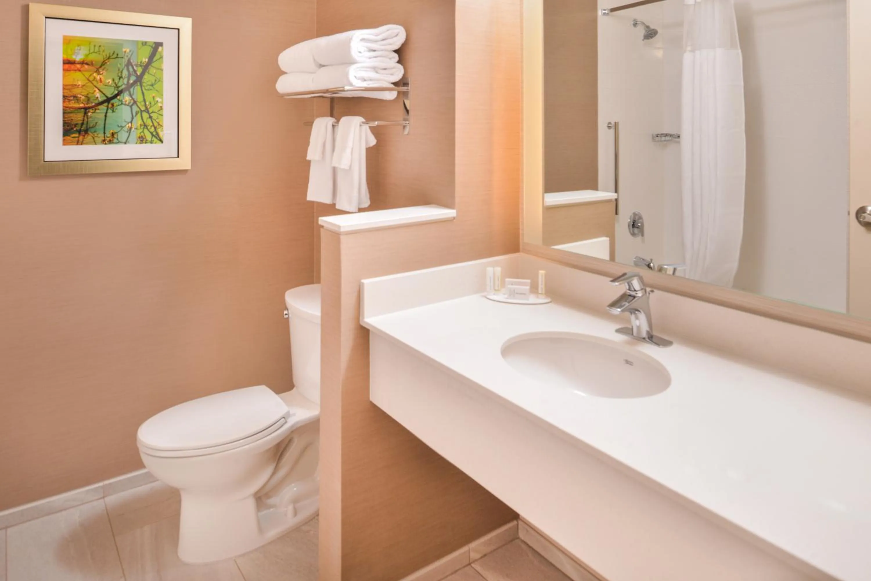 Toilet in Fairfield Inn & Suites by Marriott Eugene East/Springfield