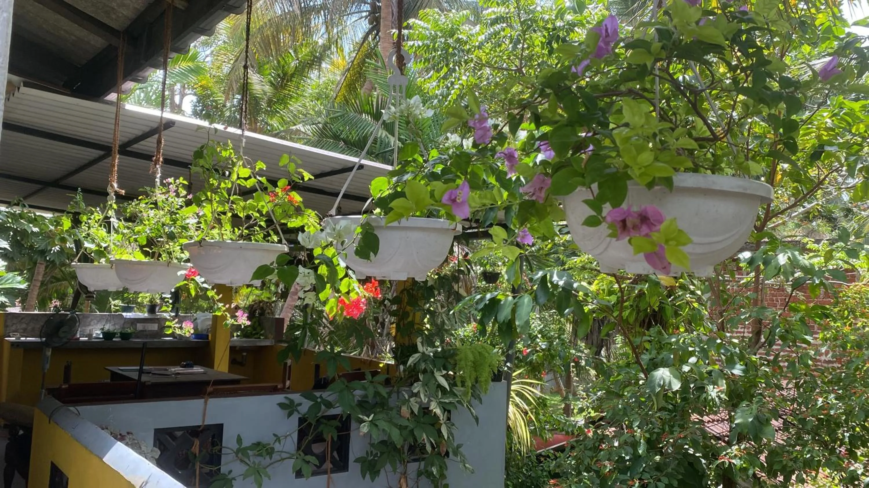 Balcony/Terrace in Nimal`s Homestay