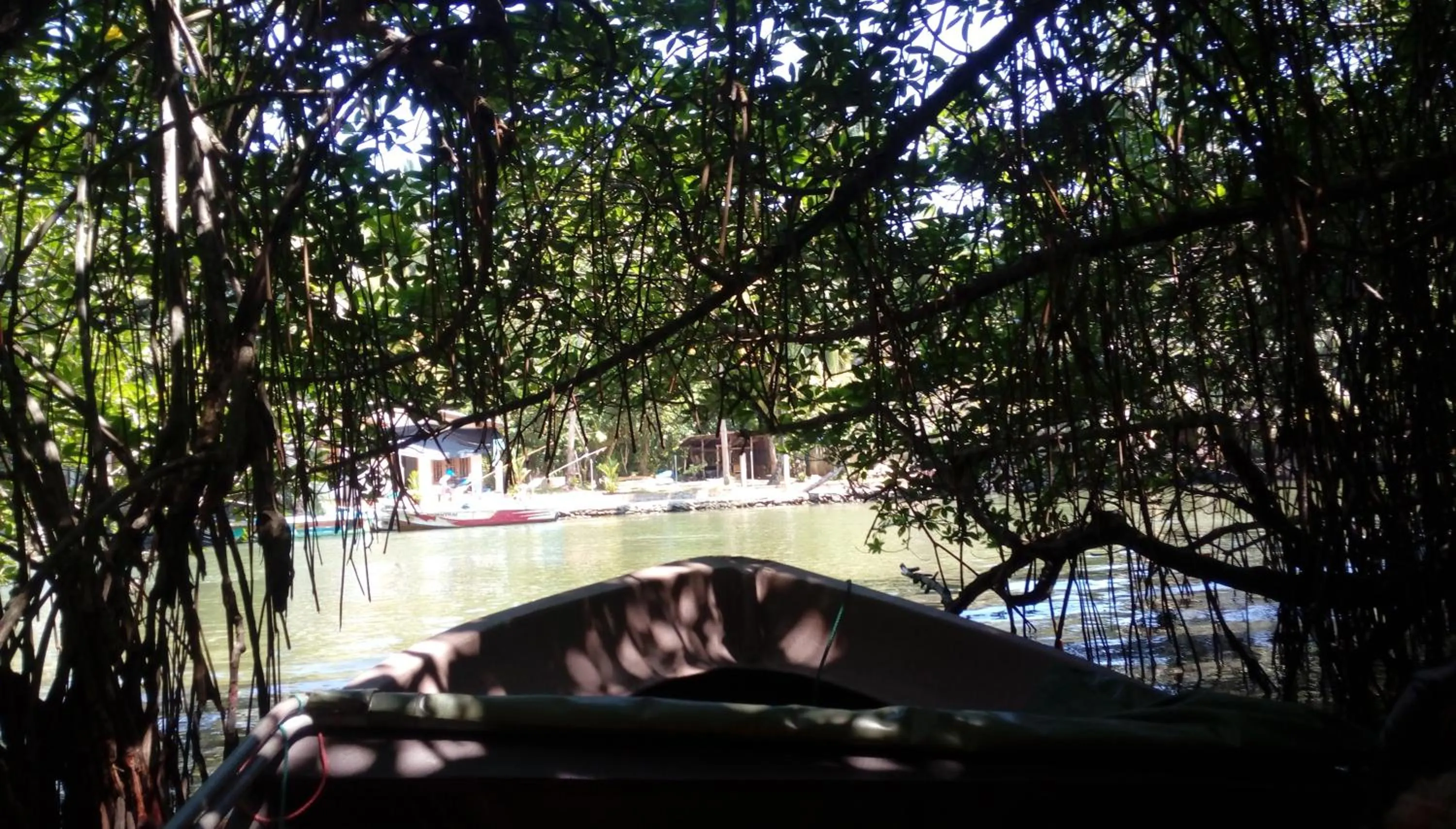 Activities in Nimal`s Homestay