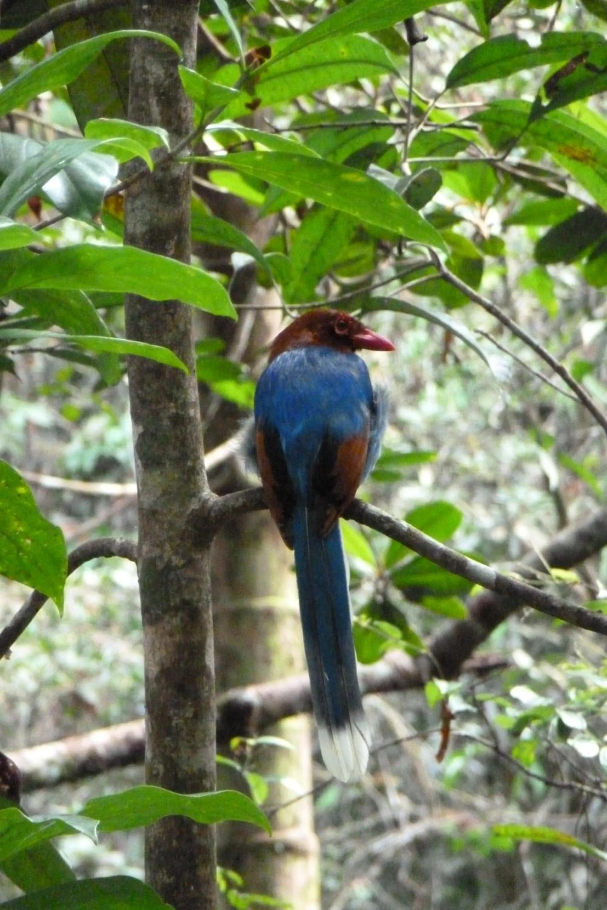 Activities in Nimal`s Homestay