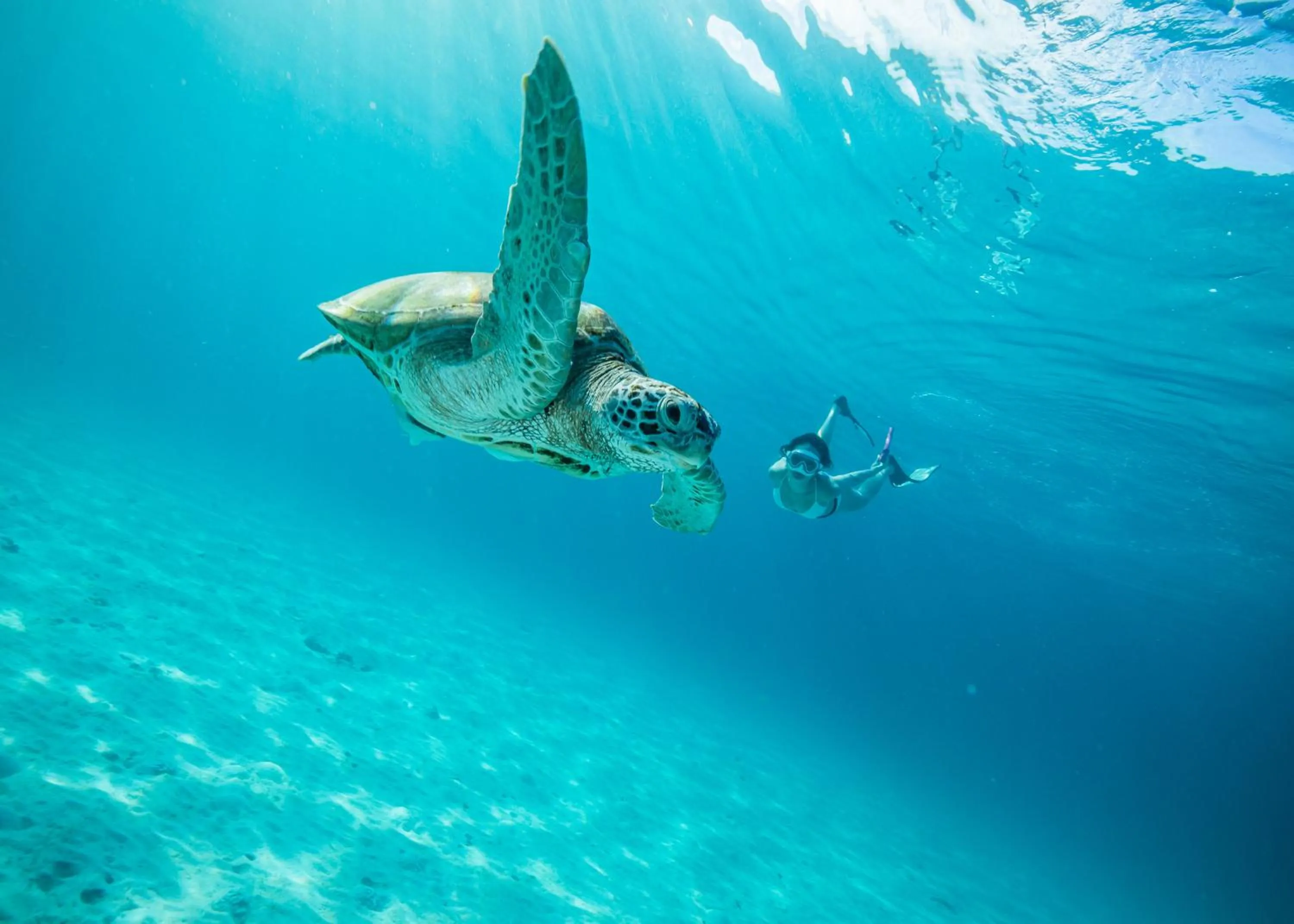 Diving in The Taaras Beach & Spa Resort