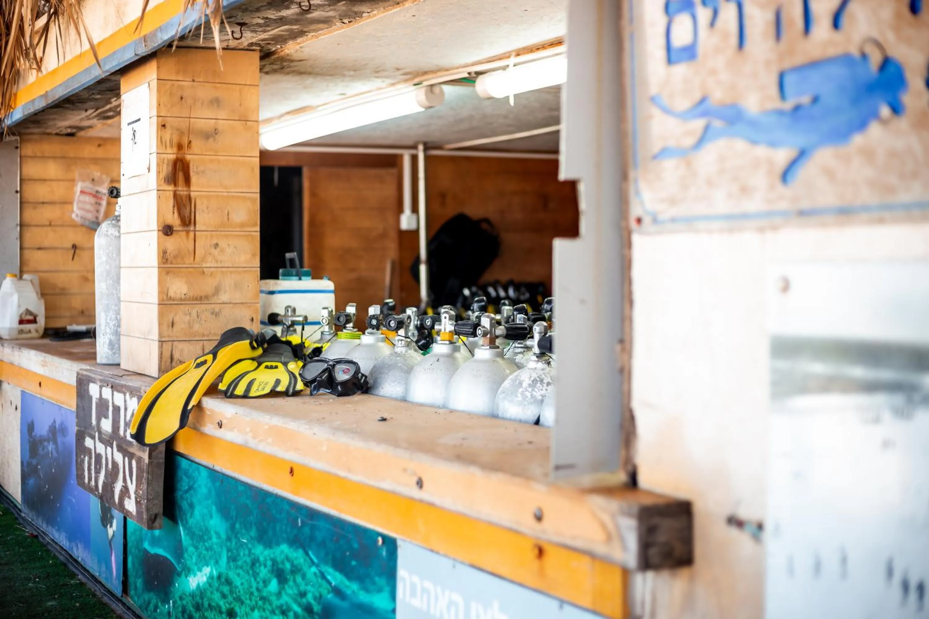 Diving in Dolphin Village - Sea Resort By Ran Hotels