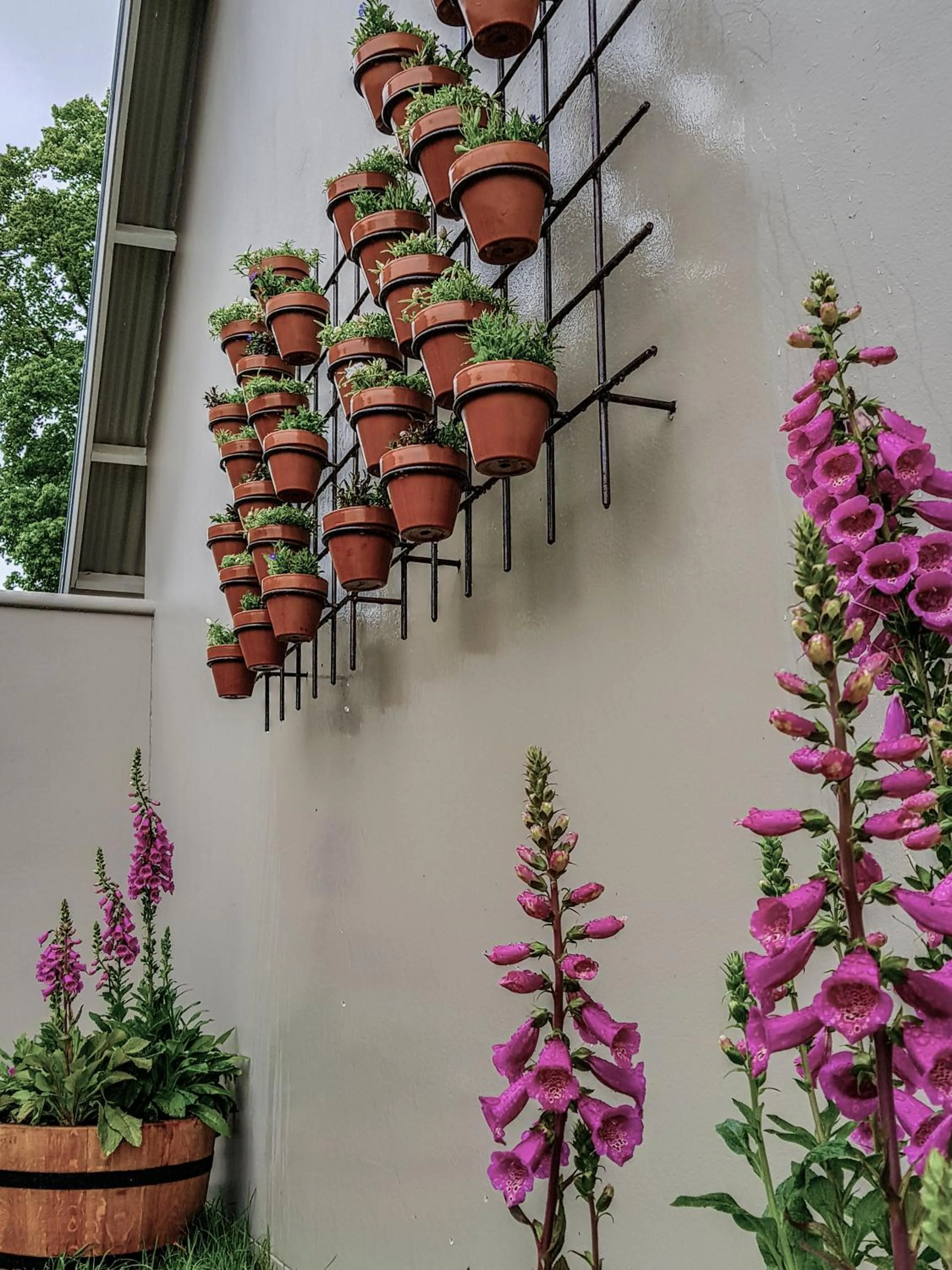 Garden in Bosch Hoek Golf & Lodge