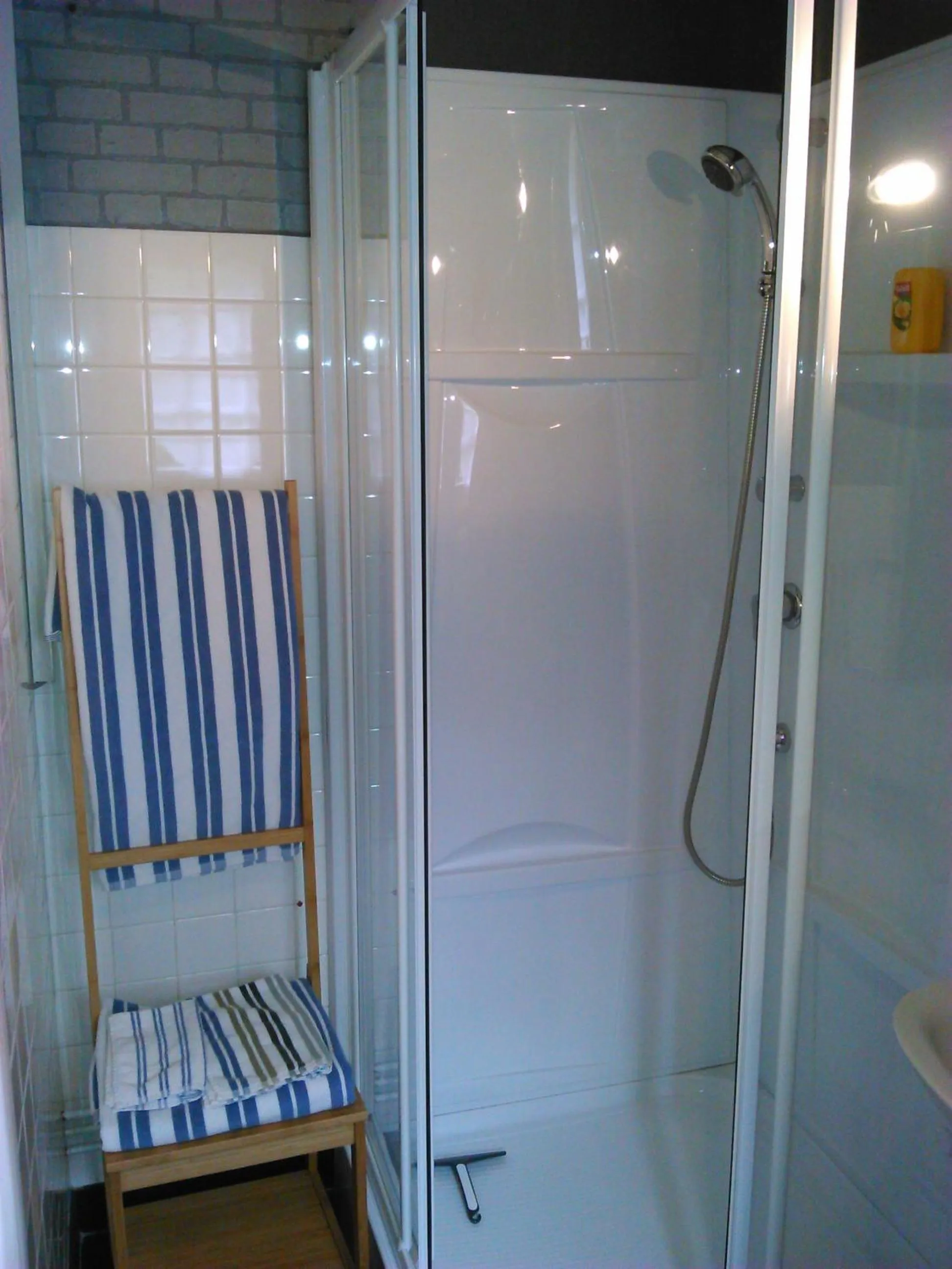 Shower in Maison d'hôtes Les Beaux Chenes