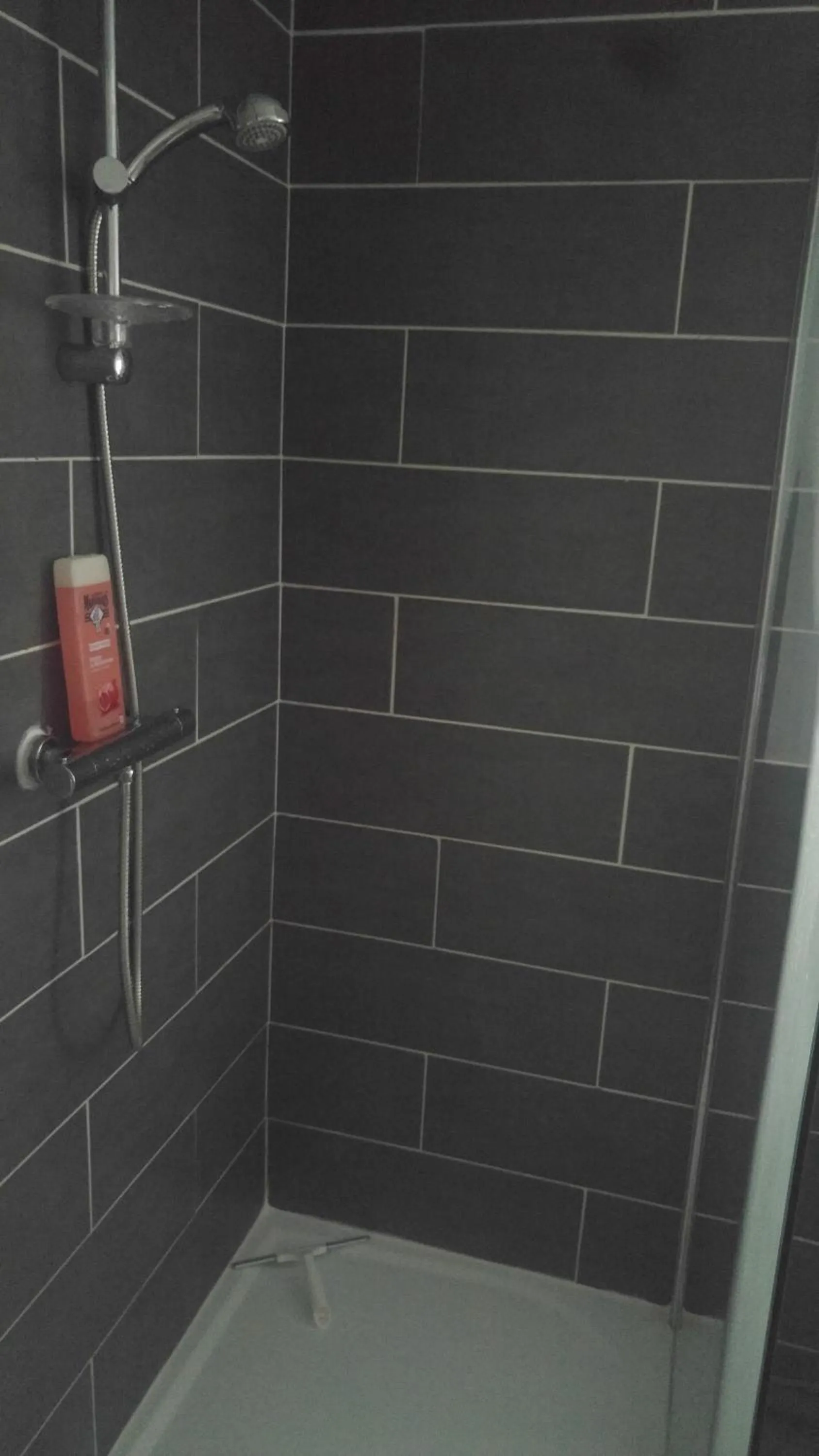 Shower in Maison d'hôtes Les Beaux Chenes