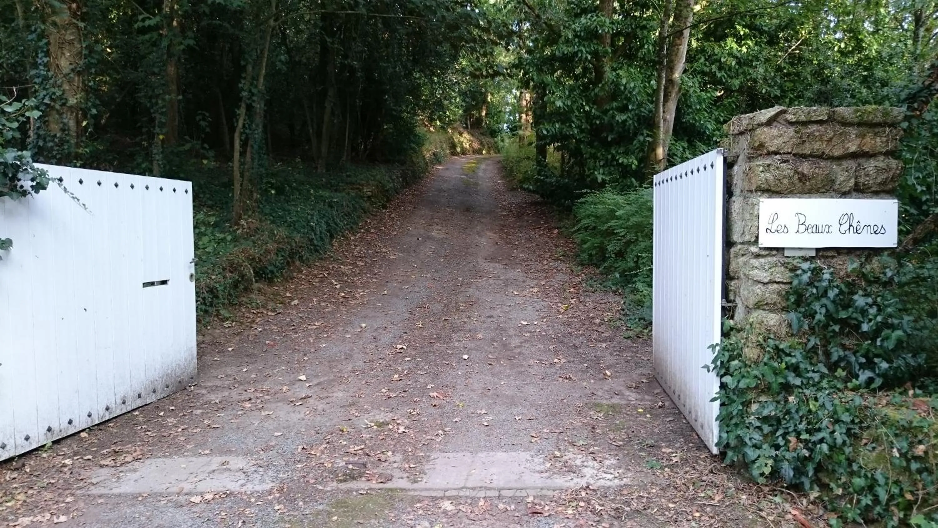 Toilet in Maison d'hôtes Les Beaux Chenes