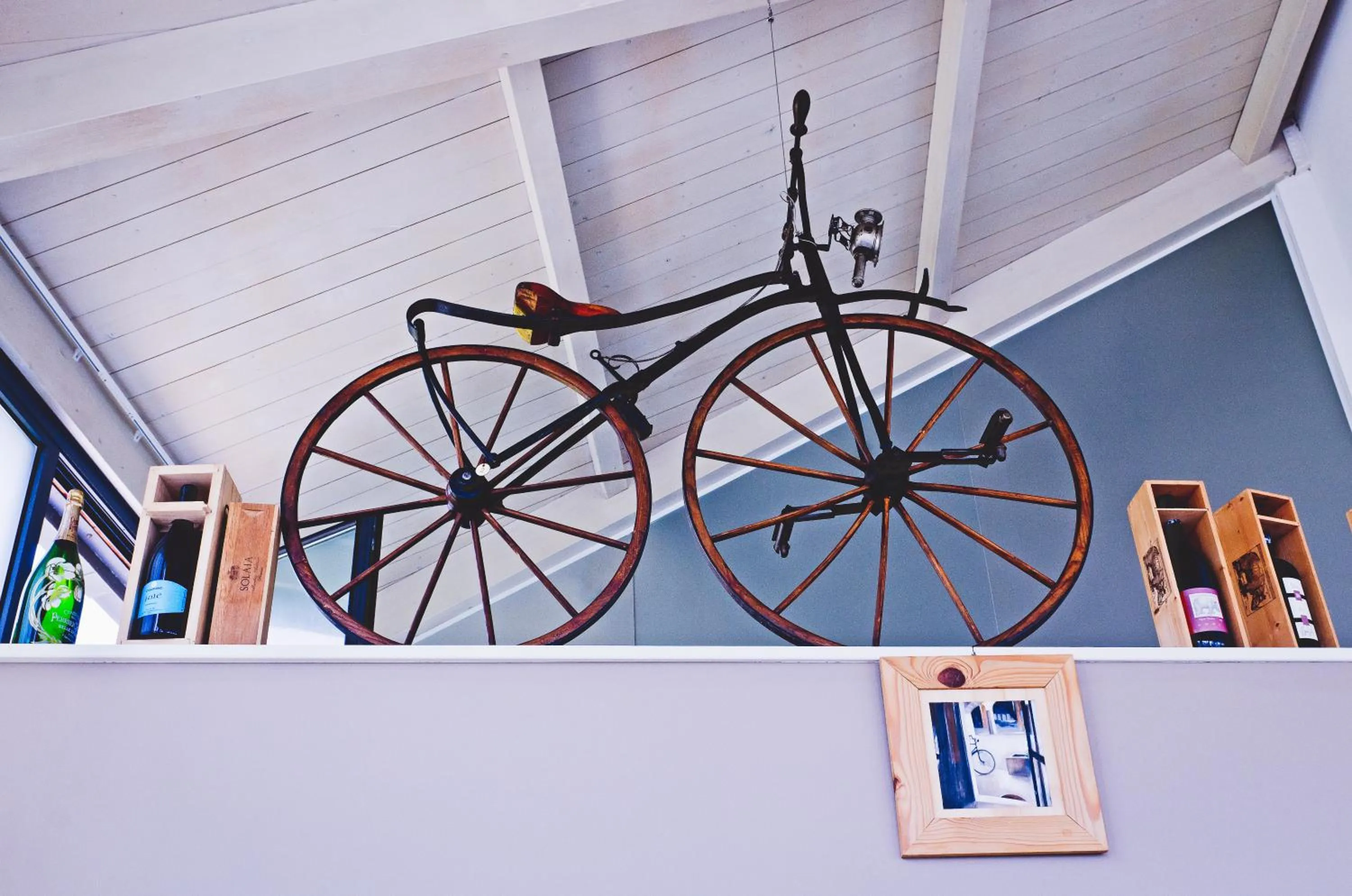 Cycling in Hotel Riviera dei Fiori