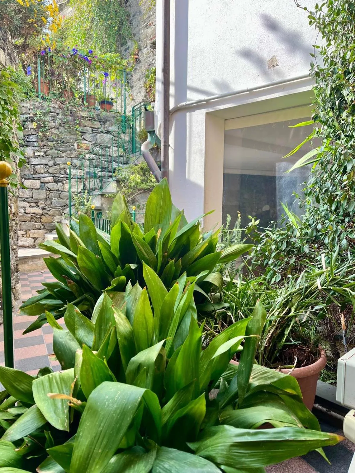 Day in Hotel Gianni Franzi