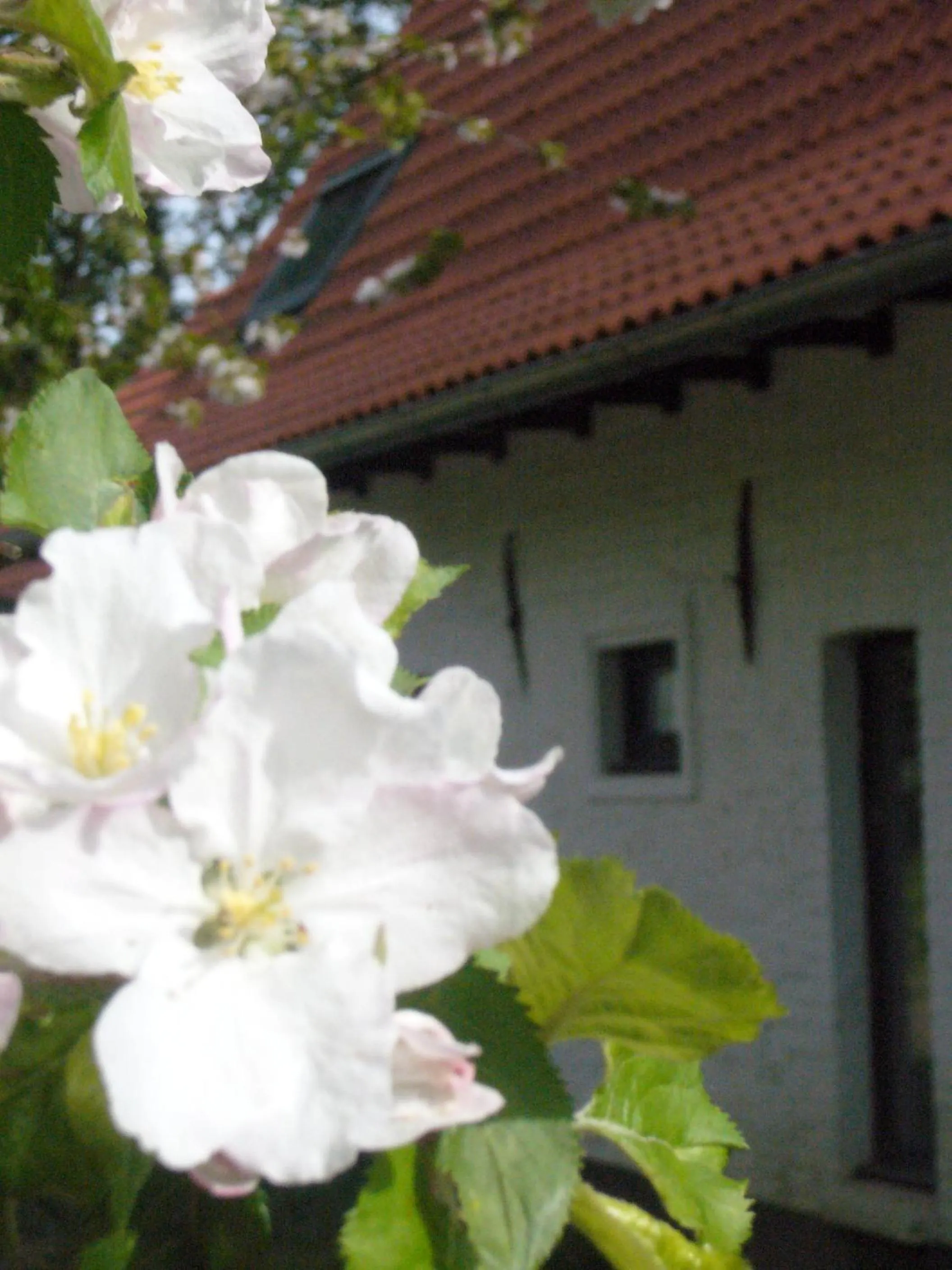 Facade/entrance in La Ferme Blanche, The Originals Relais