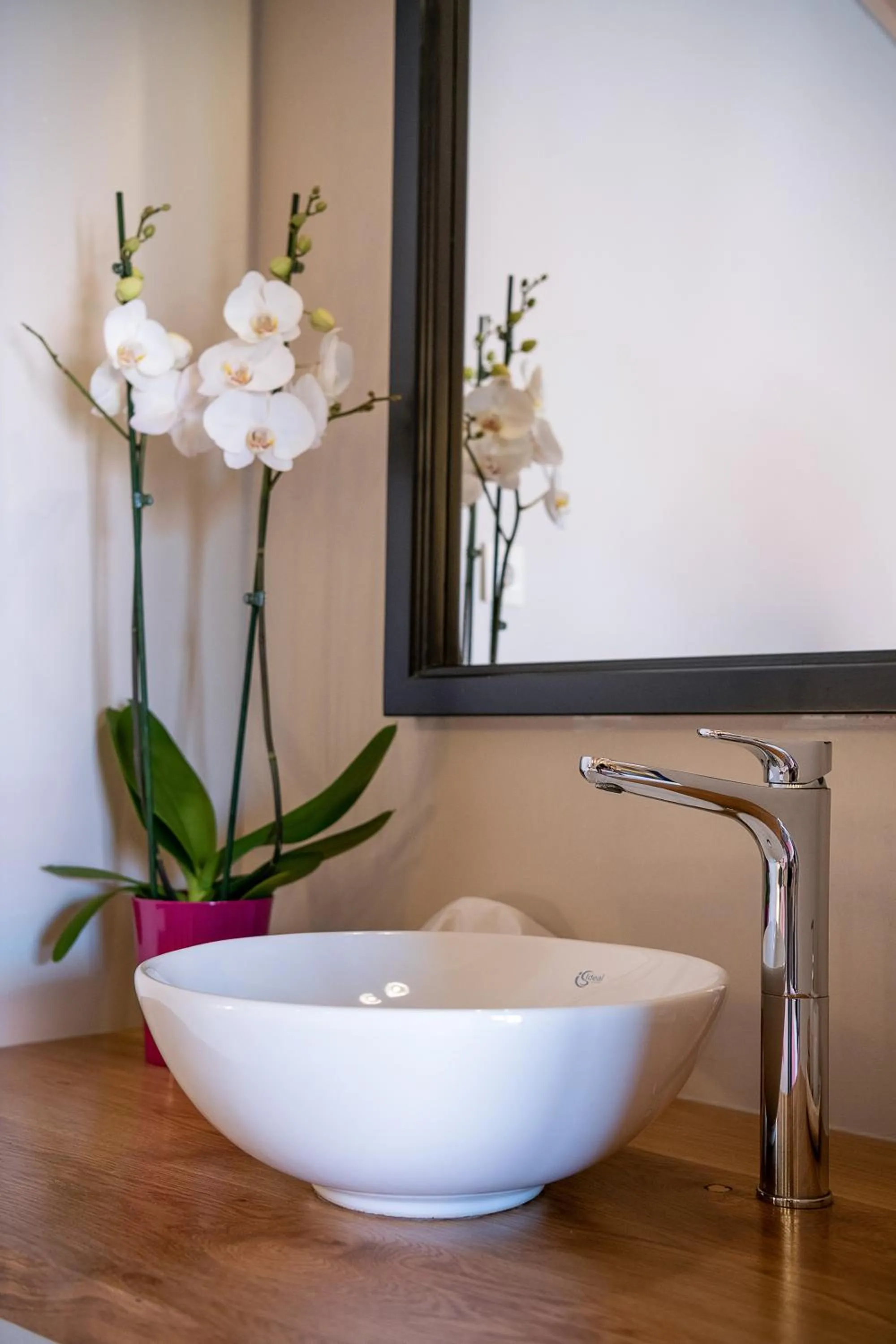 Area and facilities in Viaggio Elegant Rooms