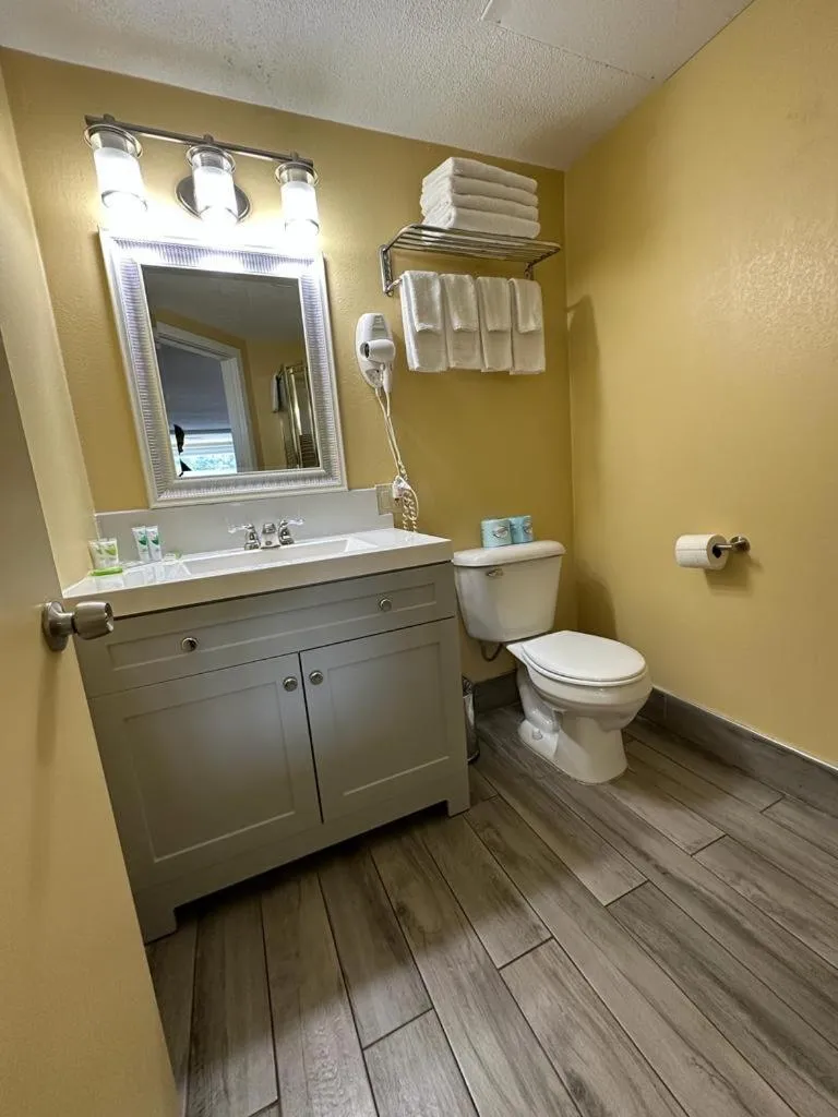 Toilet in Swiss Chalets Village Inn