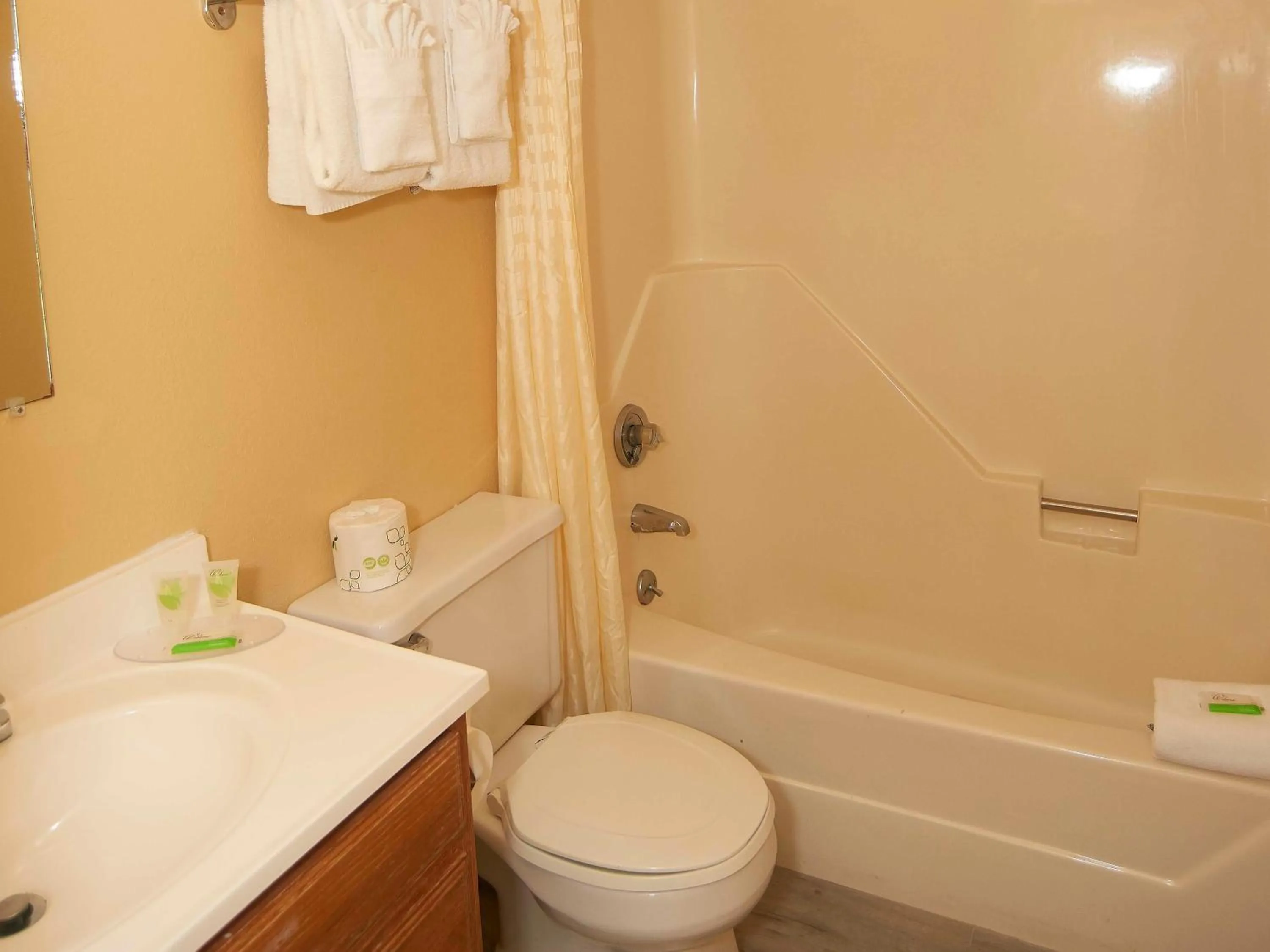 Bathroom in Swiss Chalets Village Inn