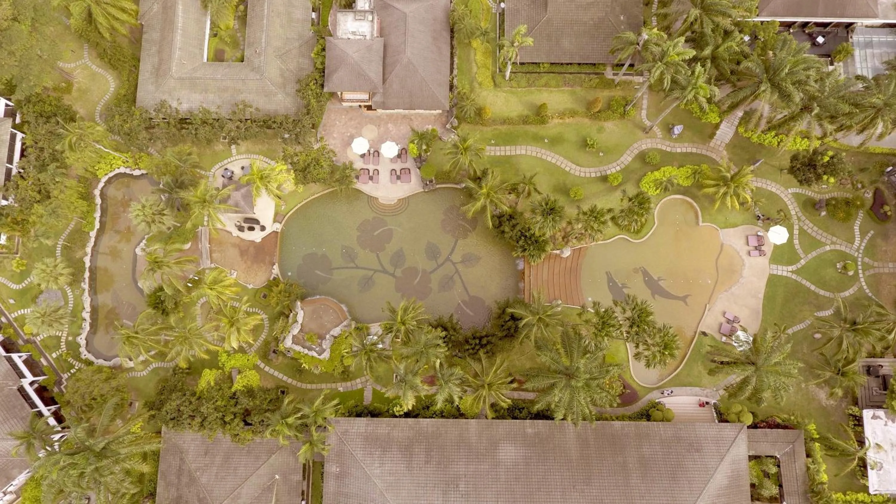 Bird's eye view in Cyberview Resort & Spa