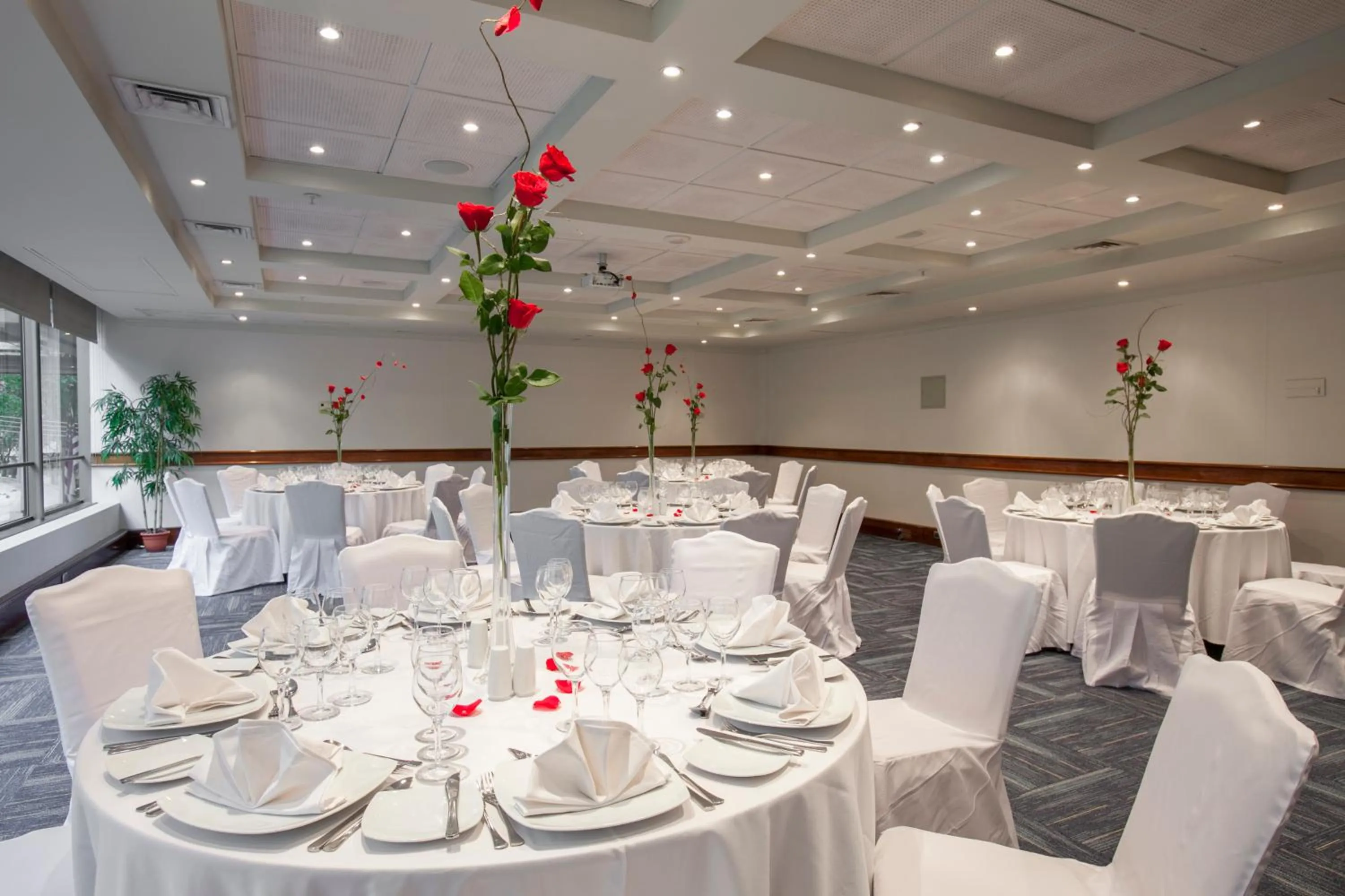 Banquet/Function facilities in Plaza El Bosque Ebro