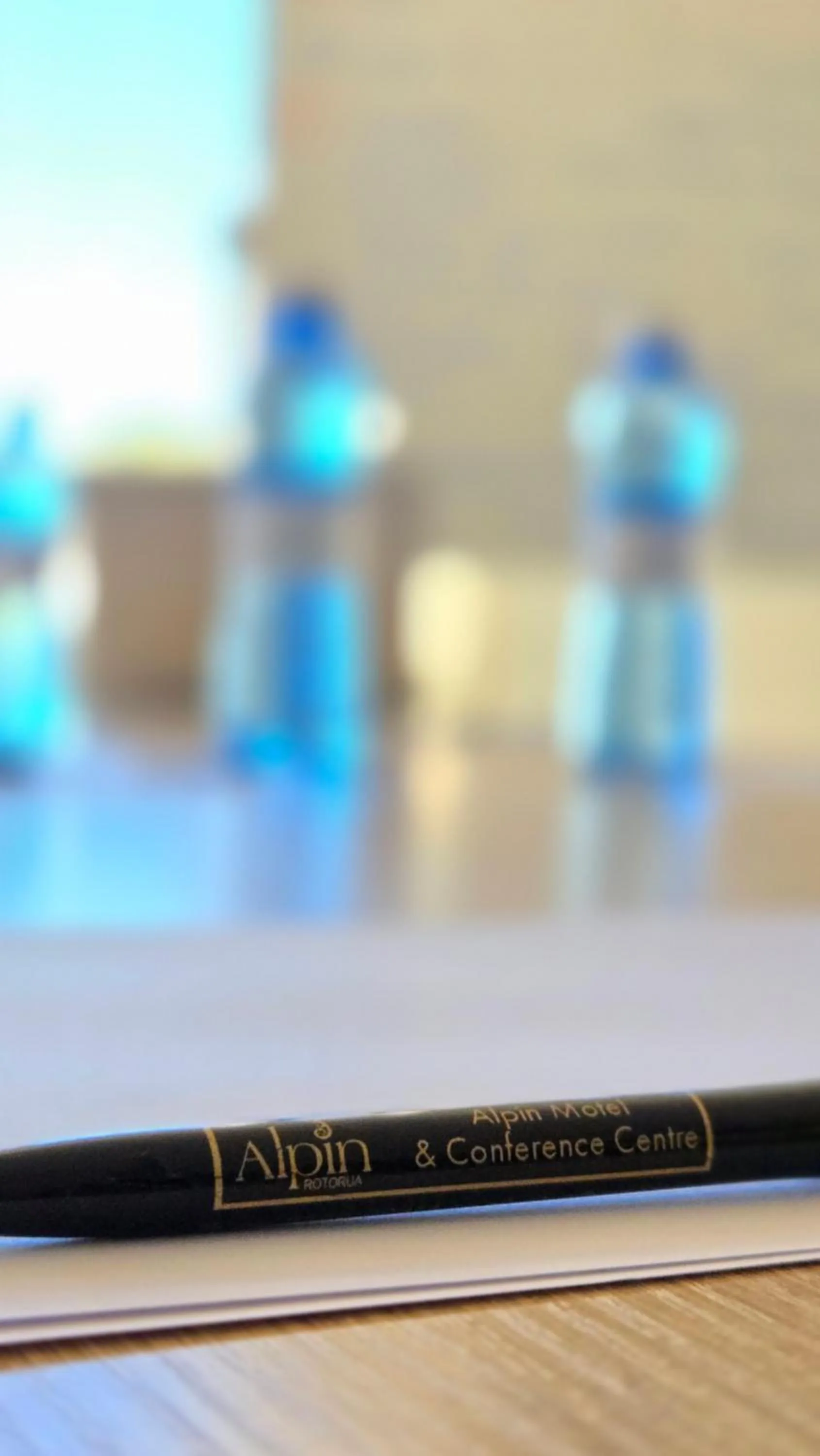 Meeting/conference room in Alpin Motel & Conference Centre