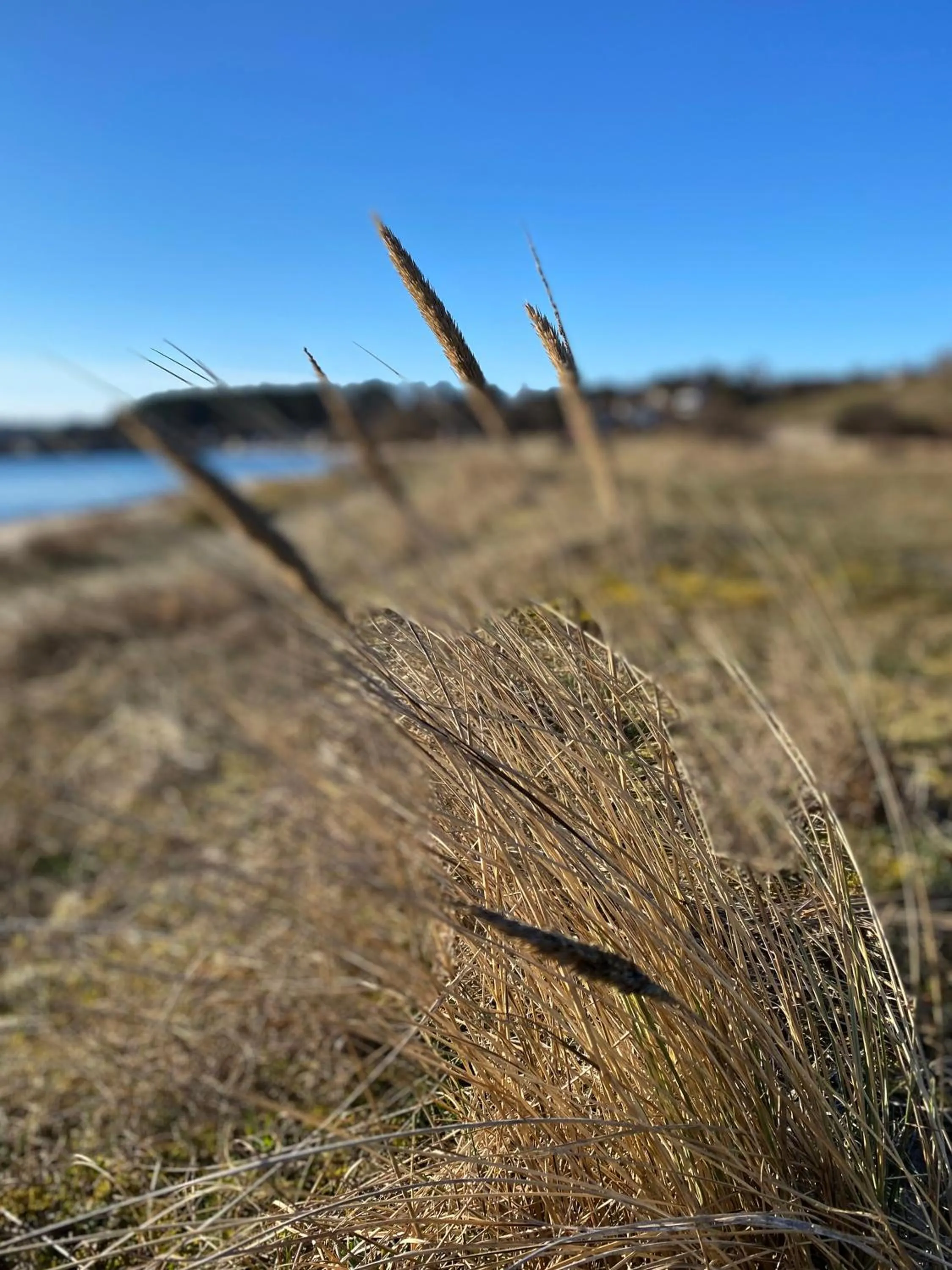 Beach in Kaptenshuset Hotell