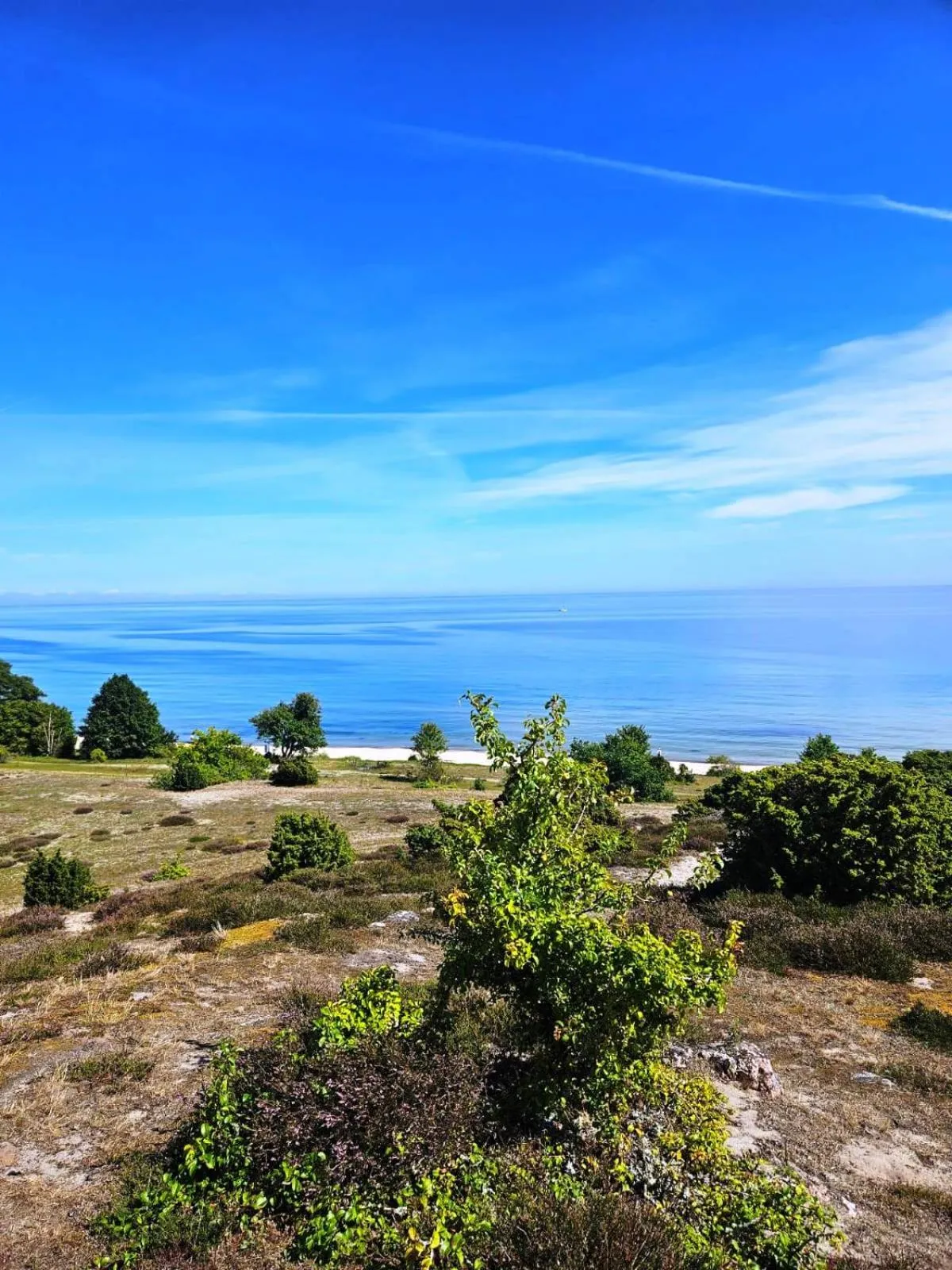 Neighbourhood in Kaptenshuset Hotell