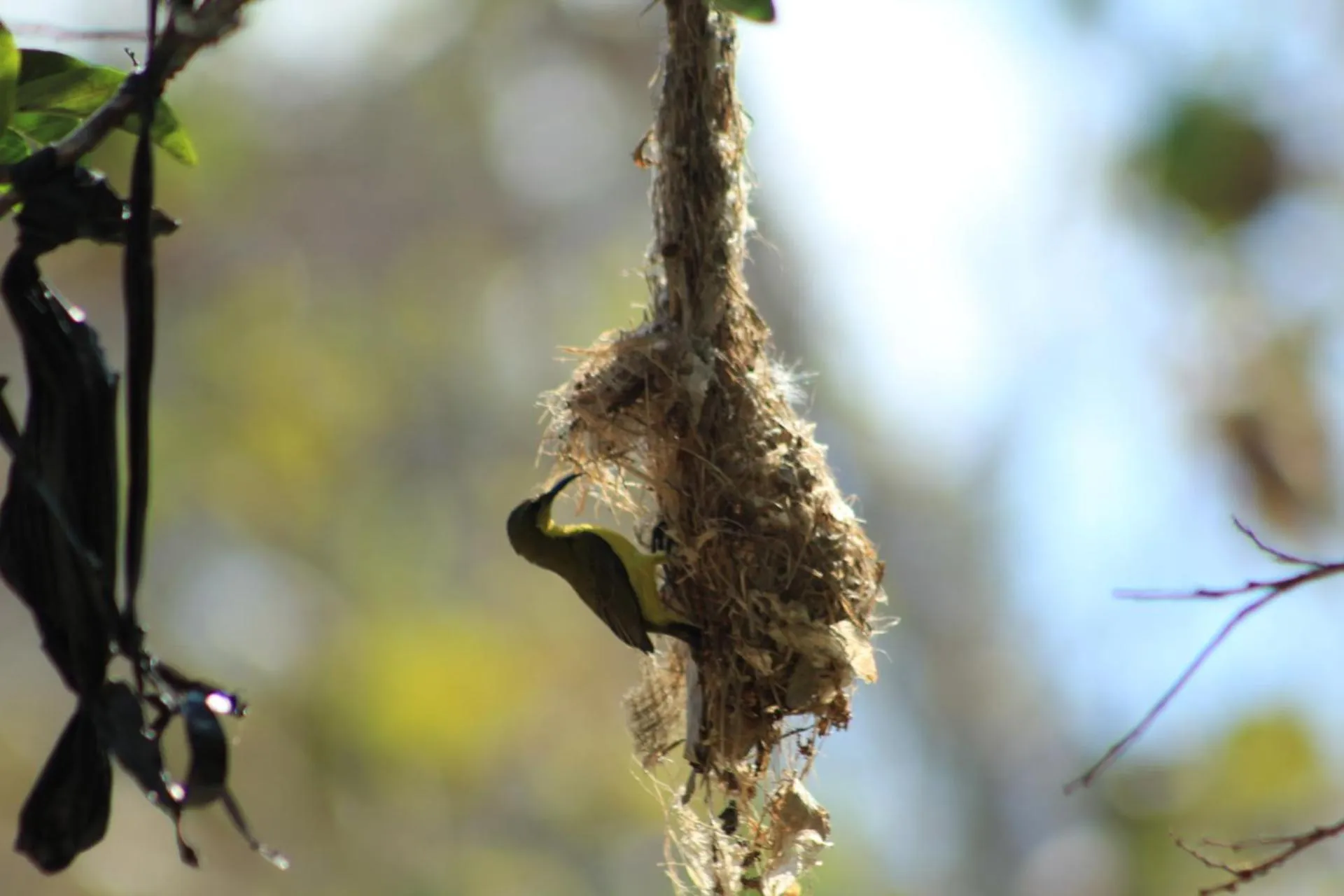 Day in Lala Home Stay