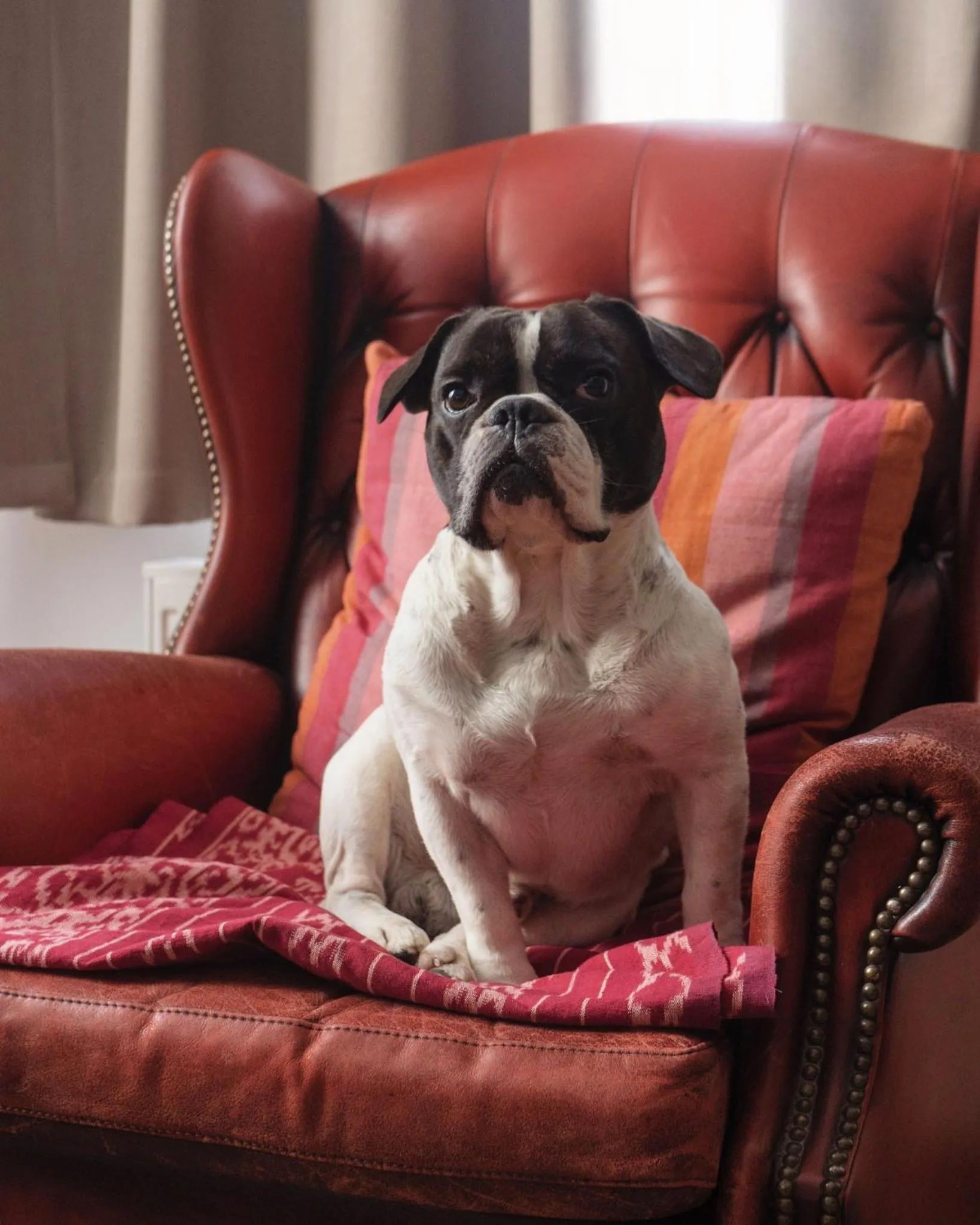 Lounge or bar in Lulu Guldsmeden