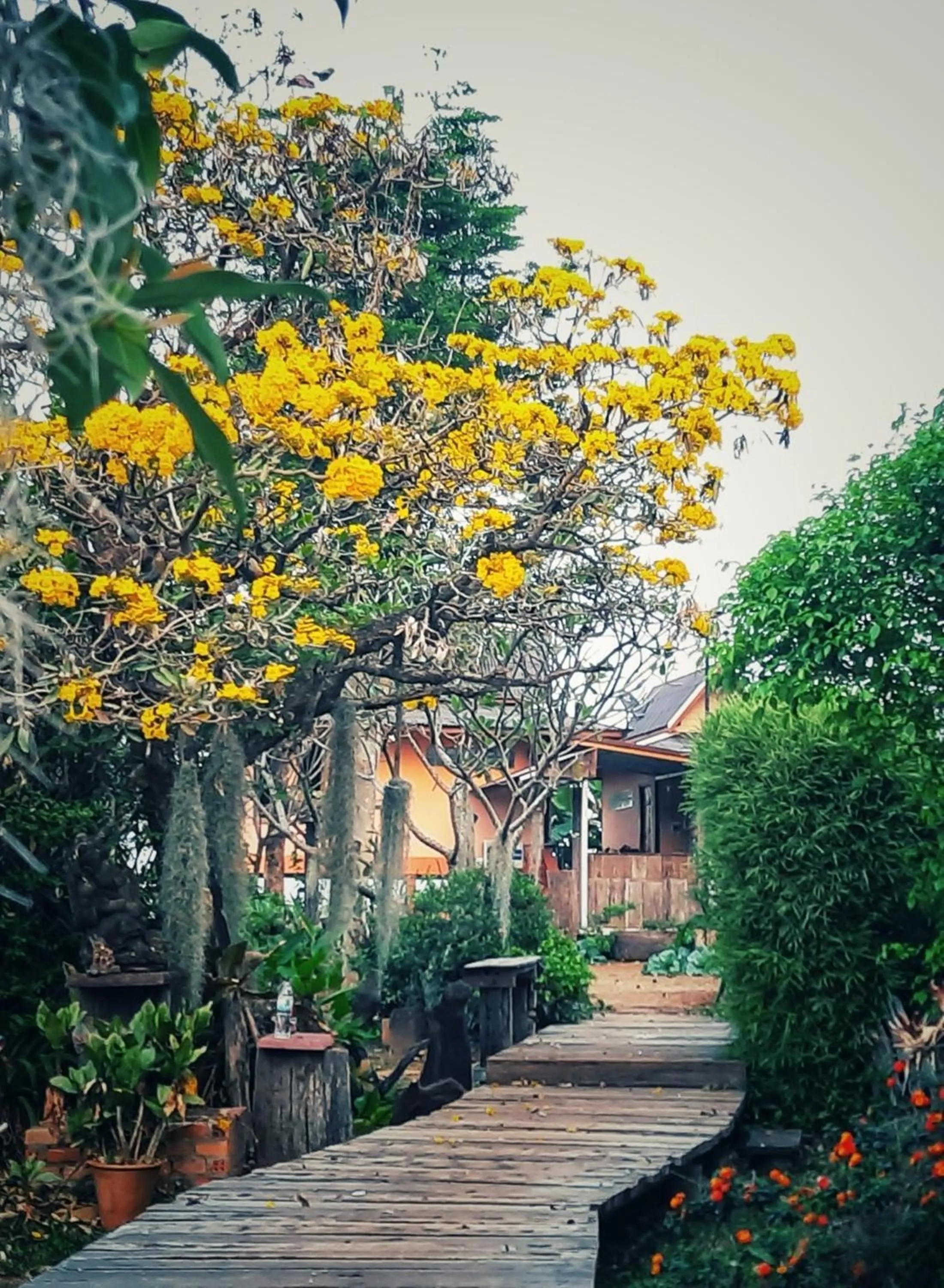 View (from property/room) in Heuan Na Khee