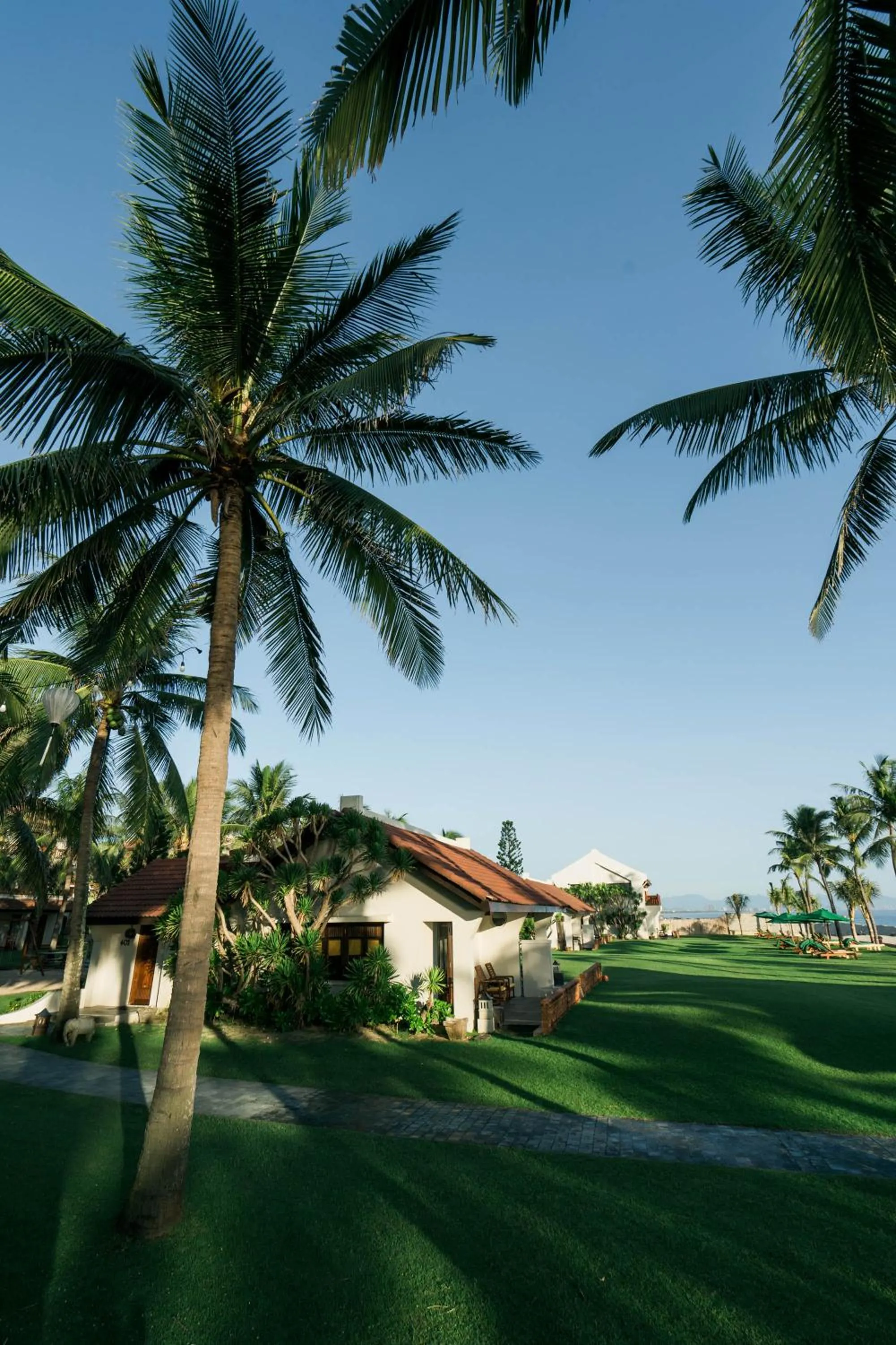 Natural landscape in Palm Garden Beach Resort & Spa