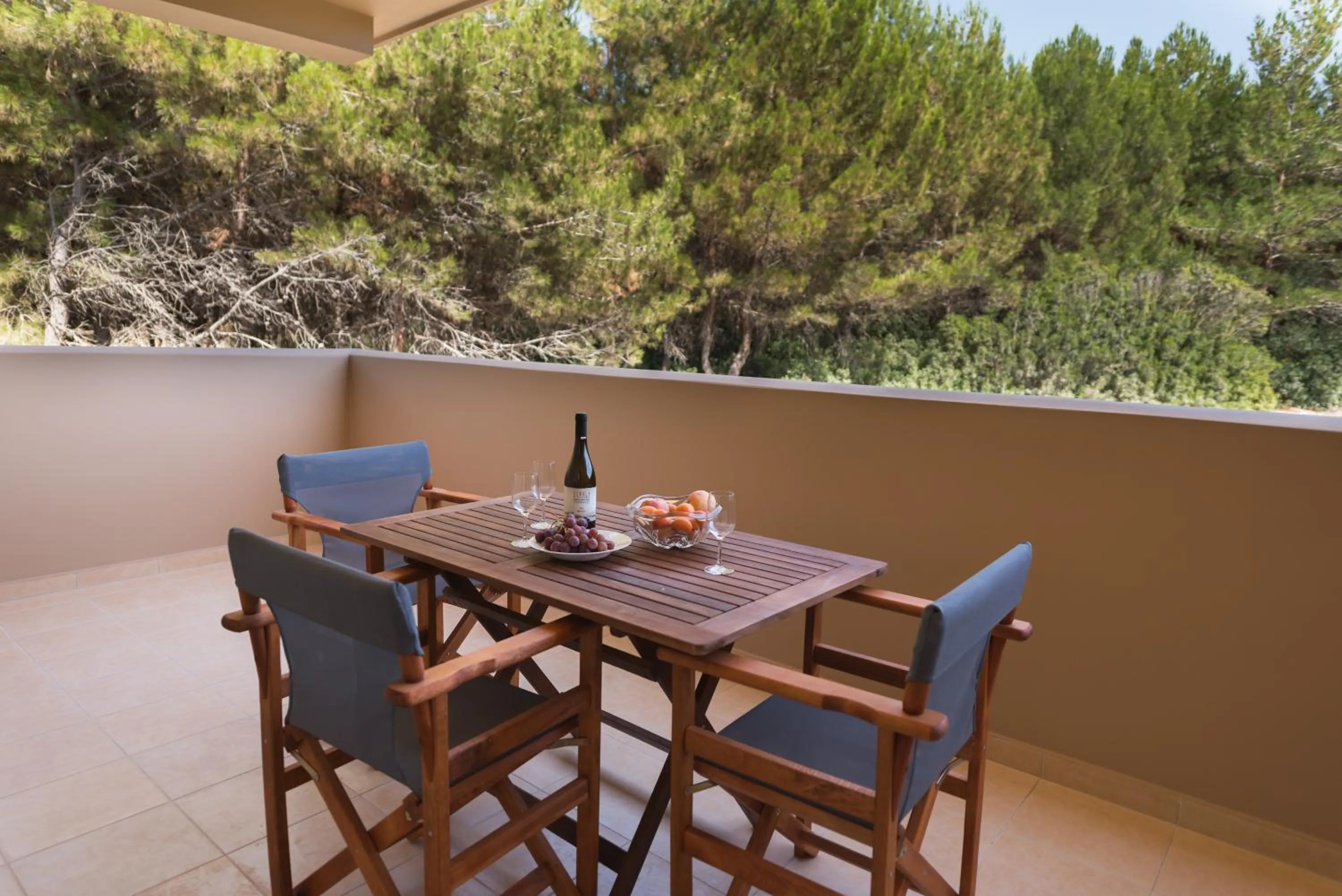 Balcony/Terrace in Egialion Iqia