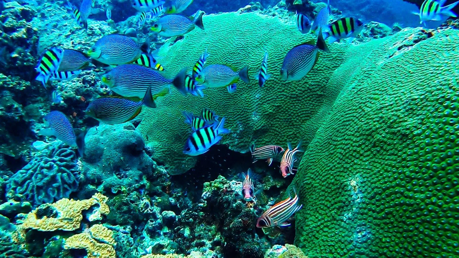 Activities in Phi Phi Relax Beach Resort