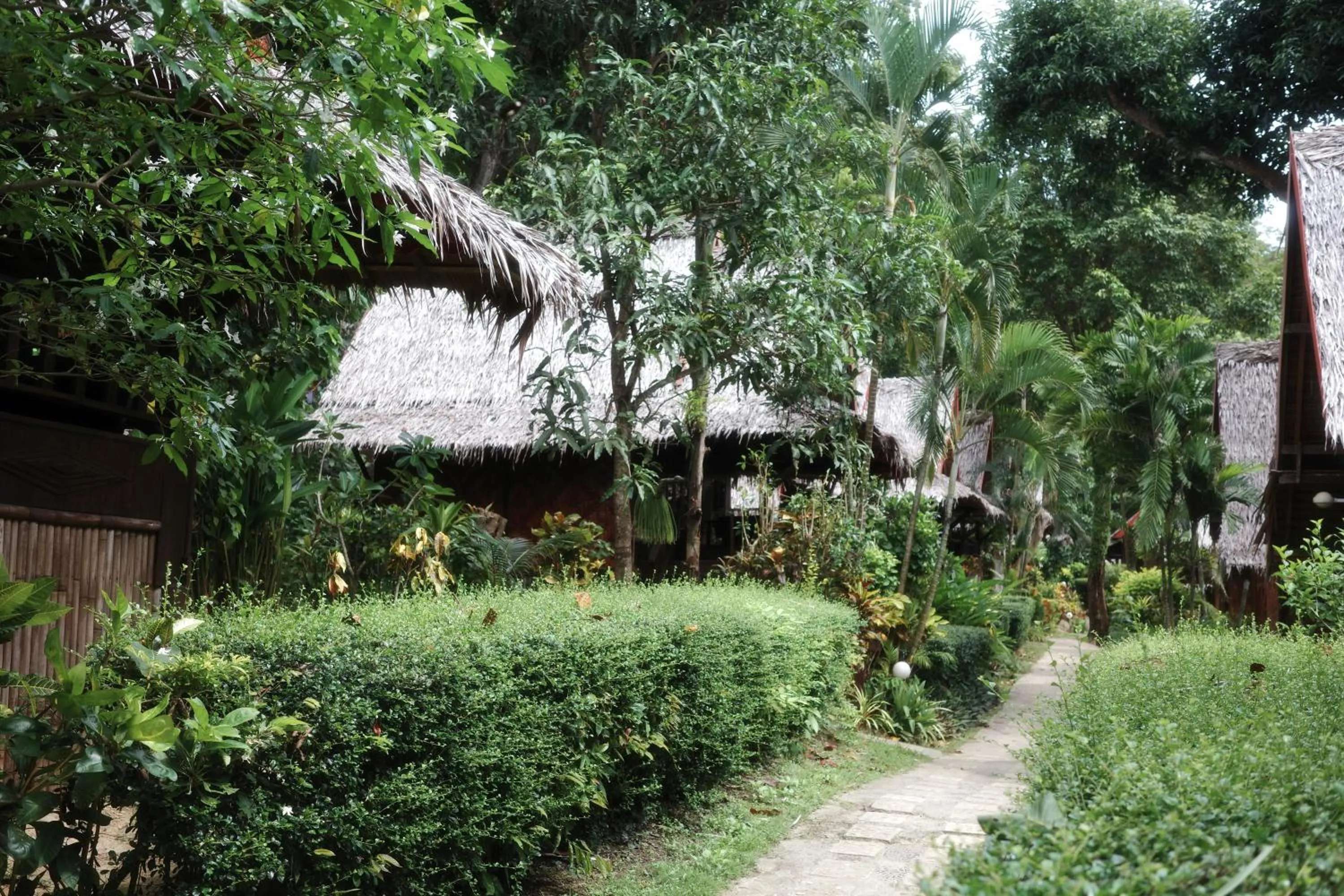 Garden in Phi Phi Relax Beach Resort