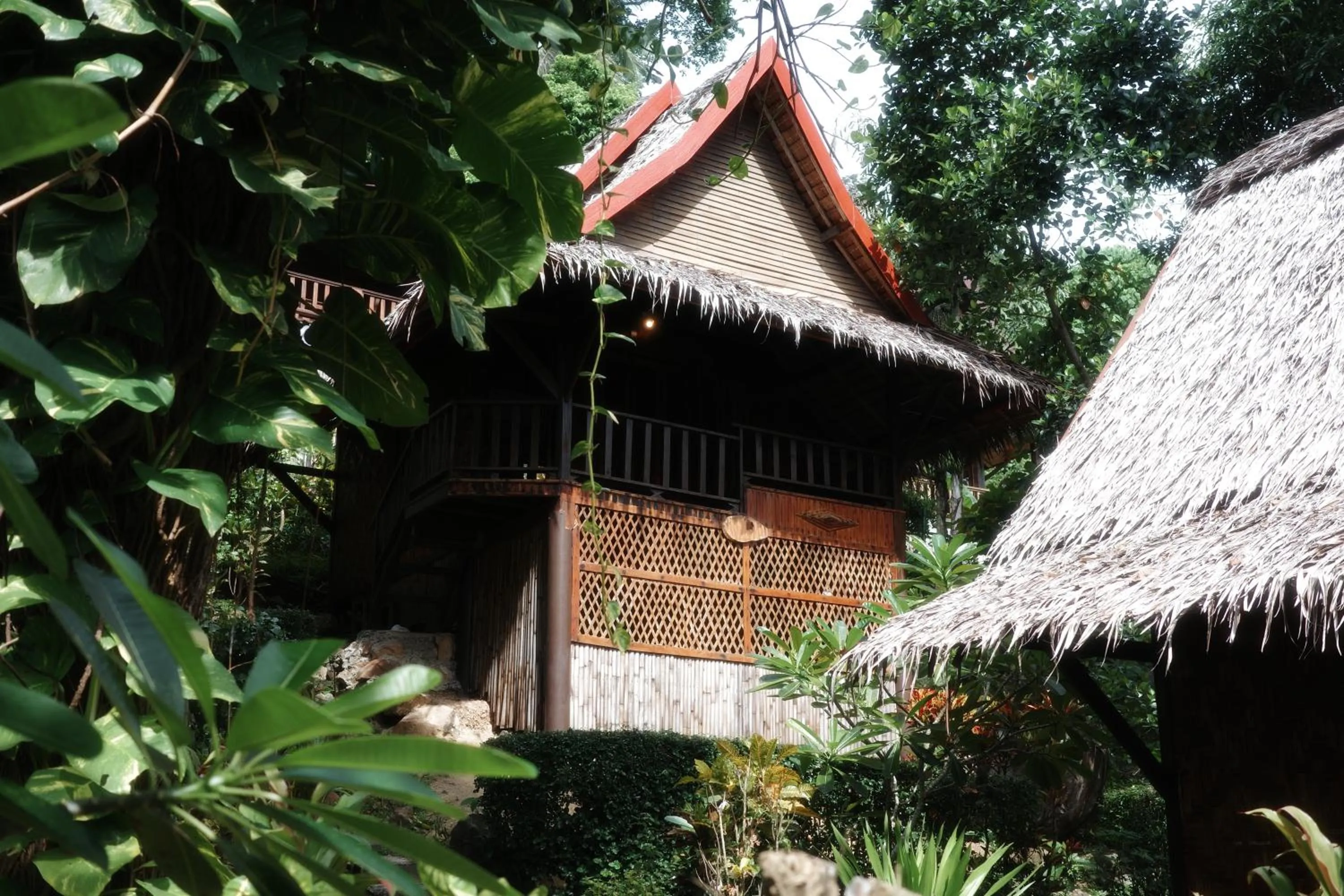 Garden in Phi Phi Relax Beach Resort
