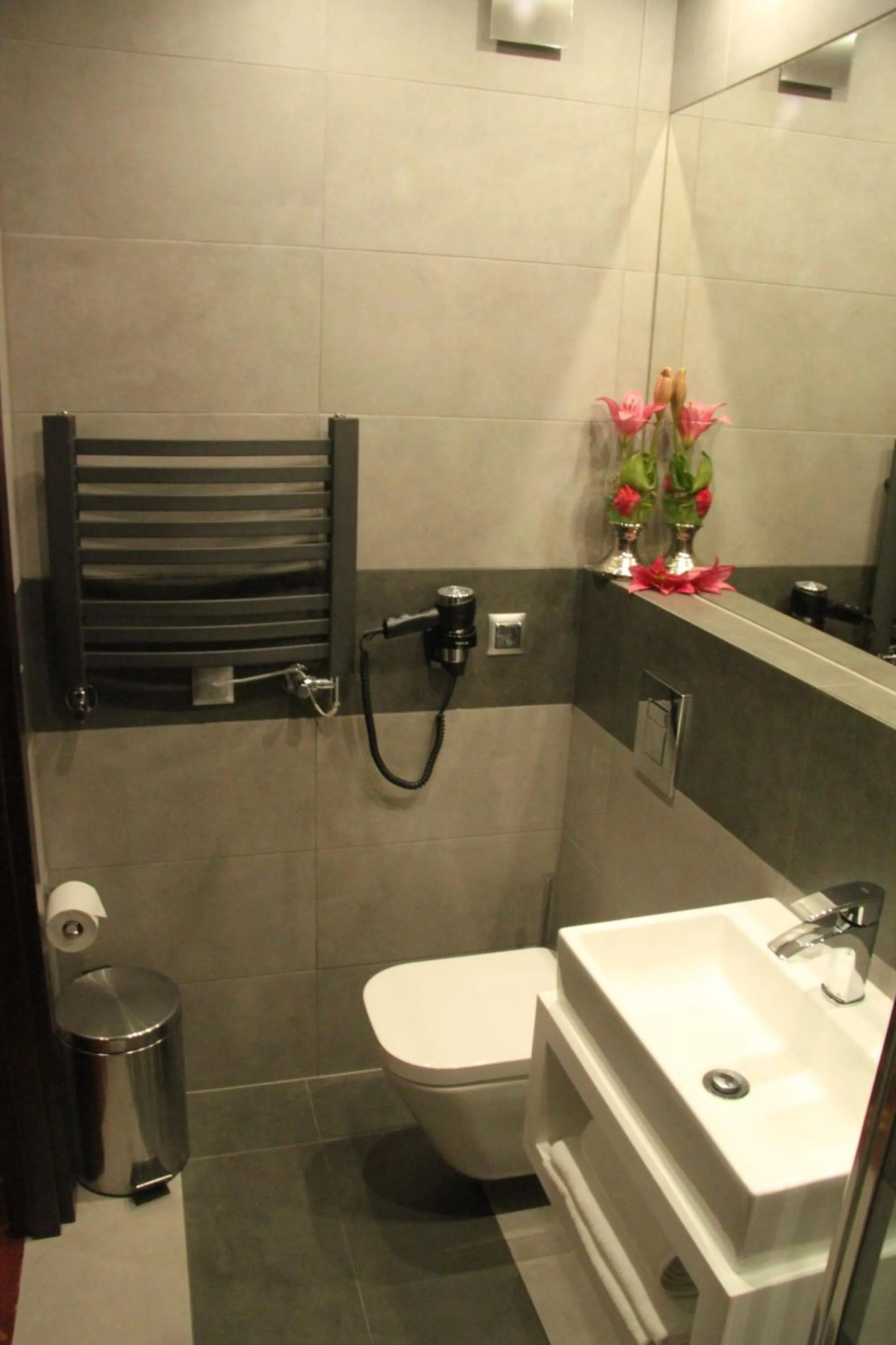 Toilet in Hotel Dunajec