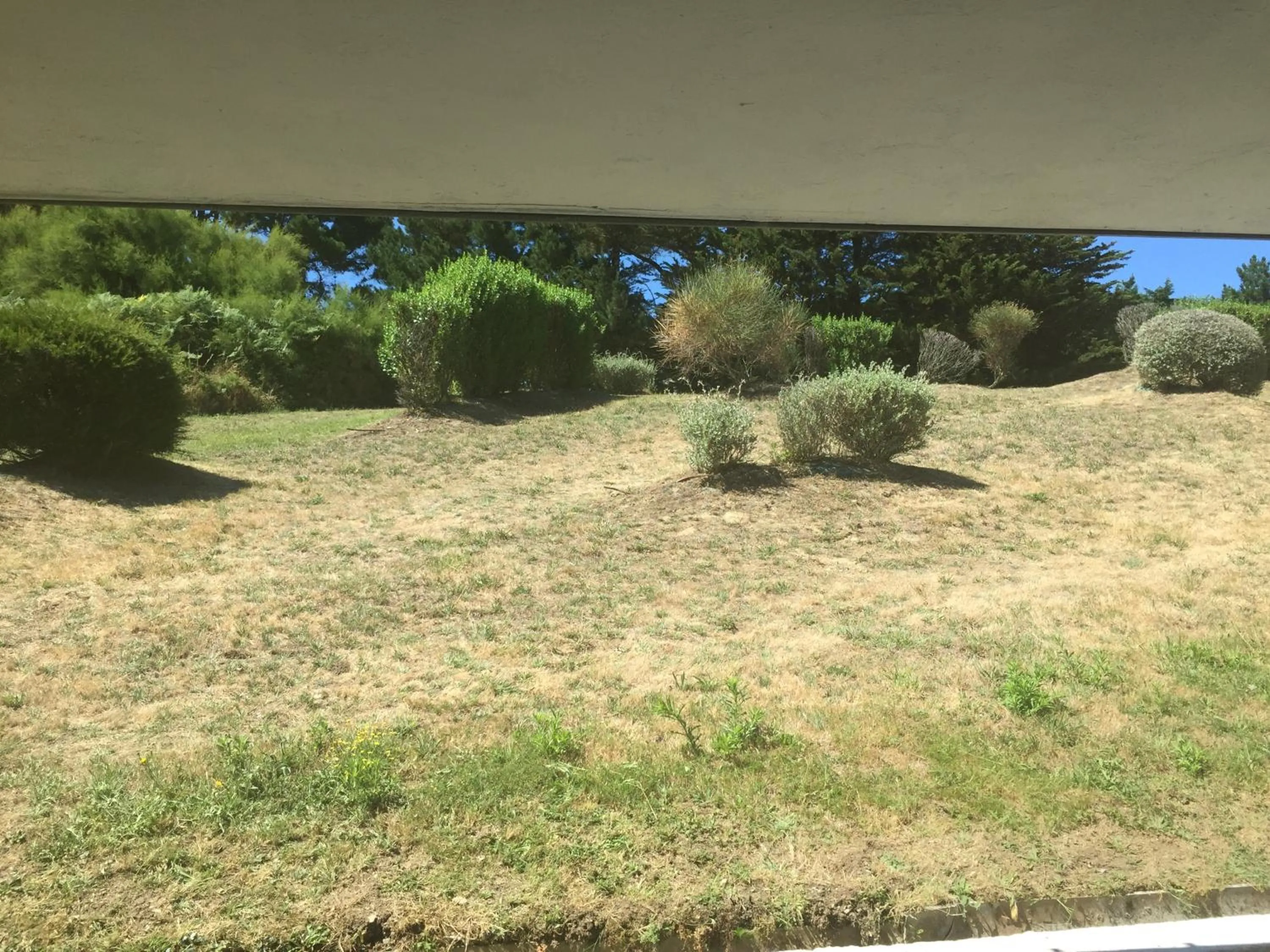 View (from property/room) in Le Cardinal - Belle-Ile-en-Mer