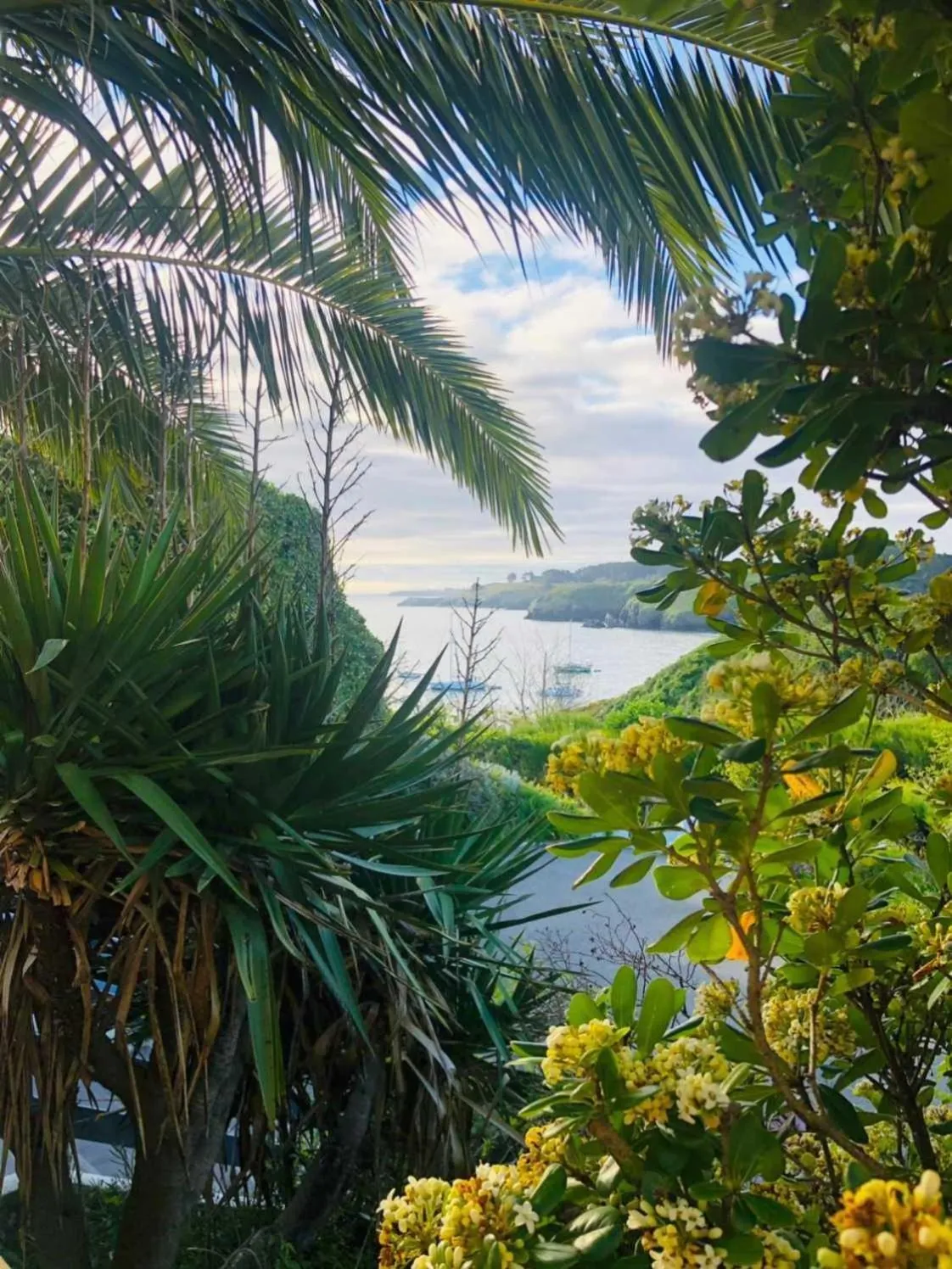 Natural landscape in Le Cardinal - Belle-Ile-en-Mer