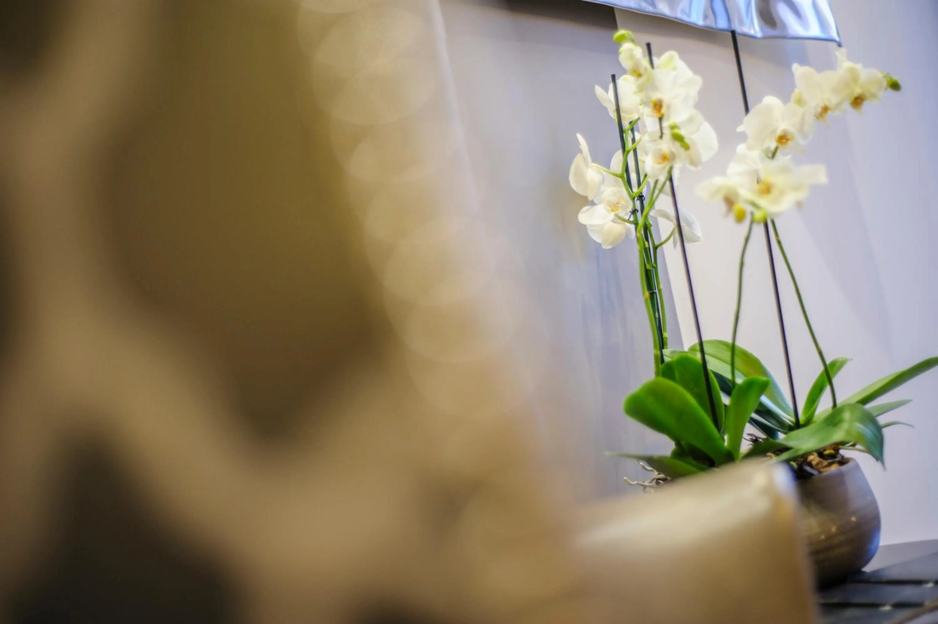 Decorative detail in The Hide London