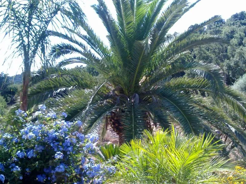 Garden in Turismo Rurale Cefalù
