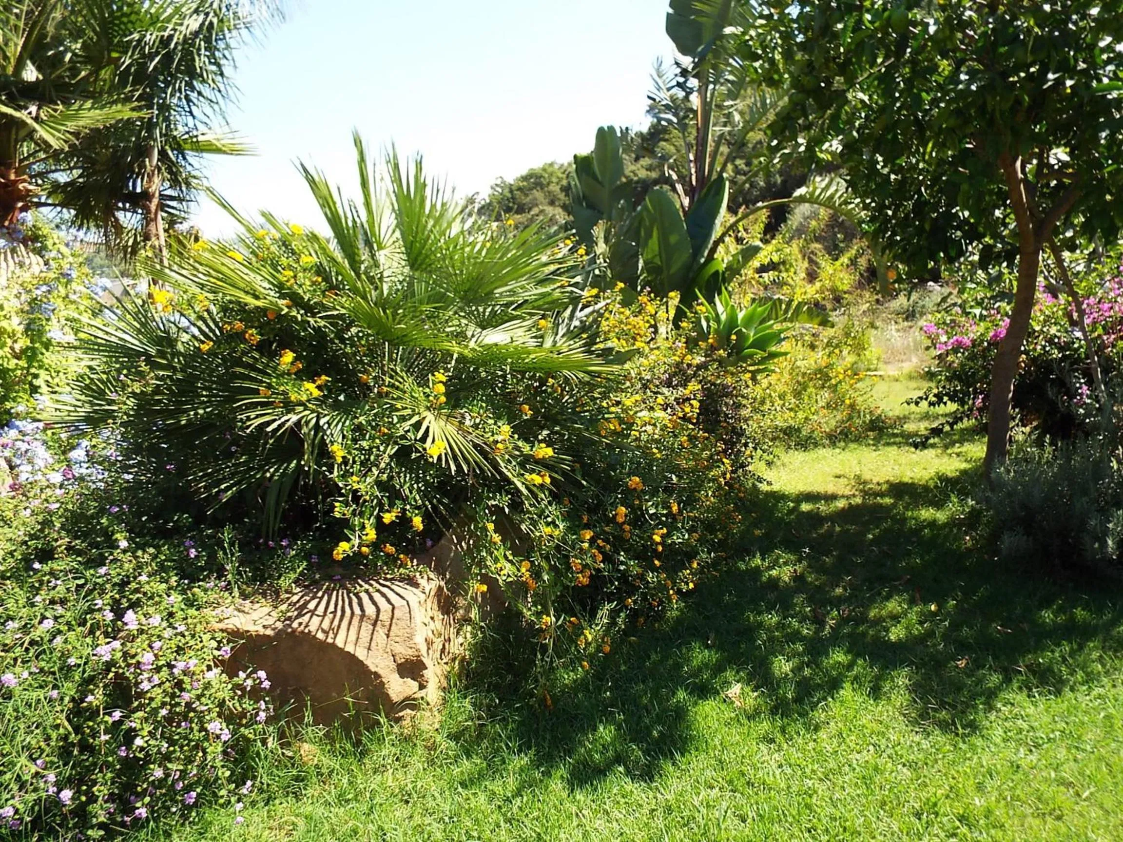 Garden in Turismo Rurale Cefalù
